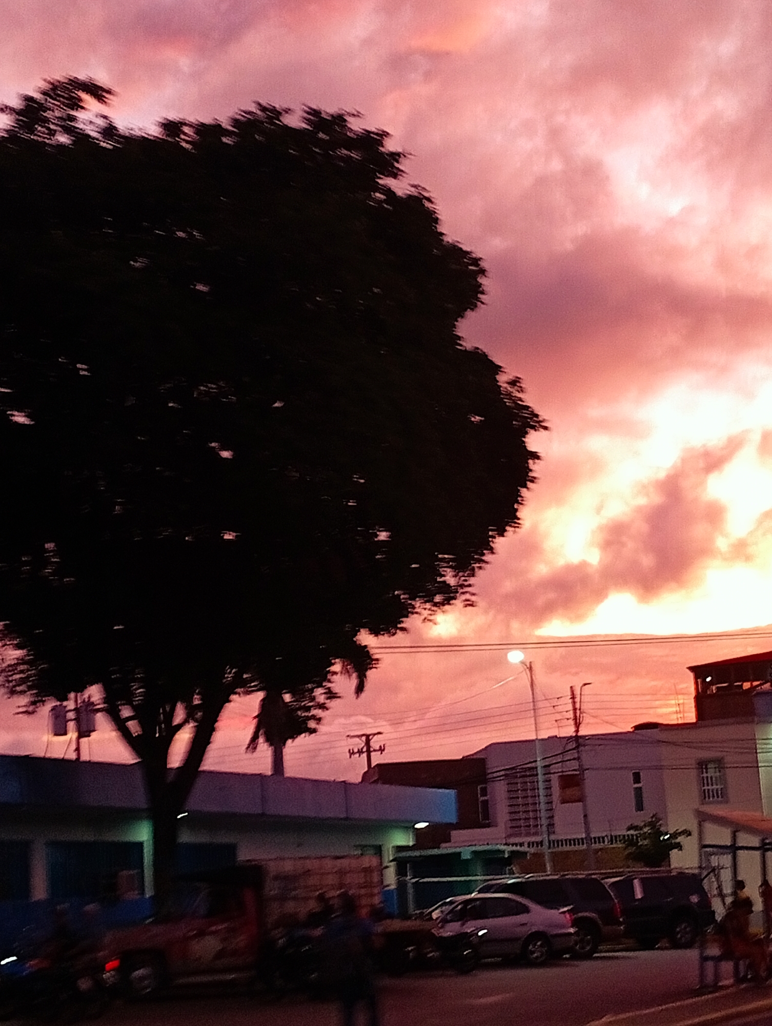 The image depicts a twilight scene in the city of Altagracia, Venezuela. A silhouetted large tree dominates the left side of the frame, its branches stark against a sky ablaze with hues of pink and orange. Clouds are prominent in the sky, catching the last light of the day.
In the background, buildings with visible windows and rooftops are present. Utility poles with multiple wires crisscross the scene above the buildings, indicating an urban environment. A street lamp with an illuminated bulb stands to the left of center, casting a soft glow.
At street level, several vehicles are visible. A red pickup truck is parked in the foreground, with other cars and possibly motorcycles behind it, some of which are blurred, suggesting movement. The overall impression is of a street scene in Altagracia during sunset or early dusk, with a mix of natural elements and urban infrastructure.