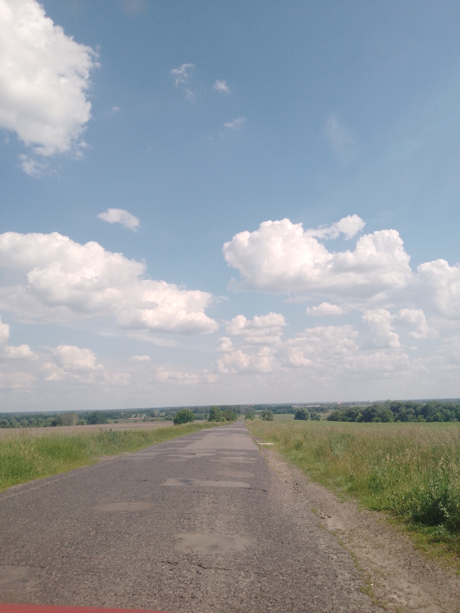 This photograph depicts a rural landscape located in Unknown, Unknown, under a bright, partly cloudy sky. The upper two-thirds of the image are dominated by a clear, light blue sky featuring numerous white cumulus clouds of varying sizes and densities. A straight, dark grey asphalt road, exhibiting extensive cracking and potholes, extends from the lower center of the frame towards the horizon, diminishing in perspective. Several potholes contain small, reflective puddles of water. The road is bordered on both sides by fields of green and golden-brown vegetation; the grass on the right side appears taller and less manicured than the left. In the far distance, a distinct horizontal line of dense green trees and foliage marks the horizon, with faint, indistinguishable outlines of distant structures possibly visible beyond the treeline. A partial, horizontal red strip occupies the very bottom edge of the image, partially obscuring the immediate foreground of the road. No individuals or identifiable vehicles are visible within the scene.