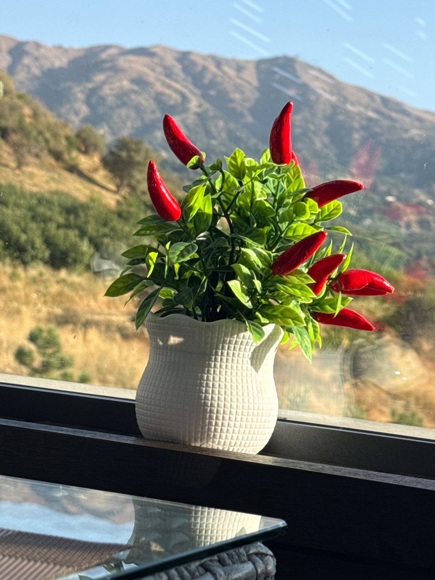A small potted plant with red chili peppers and green leaves sits on a dark windowsill. The plant is in a white ceramic pot with a textured pattern. Behind the plant, through a window, a mountainous landscape is visible. The mountains are covered in dry vegetation and trees. The sky is clear and blue. The scene appears to be outdoors or near a window overlooking an outdoor environment. The location is specified as Amirsay, Uzbekistan.