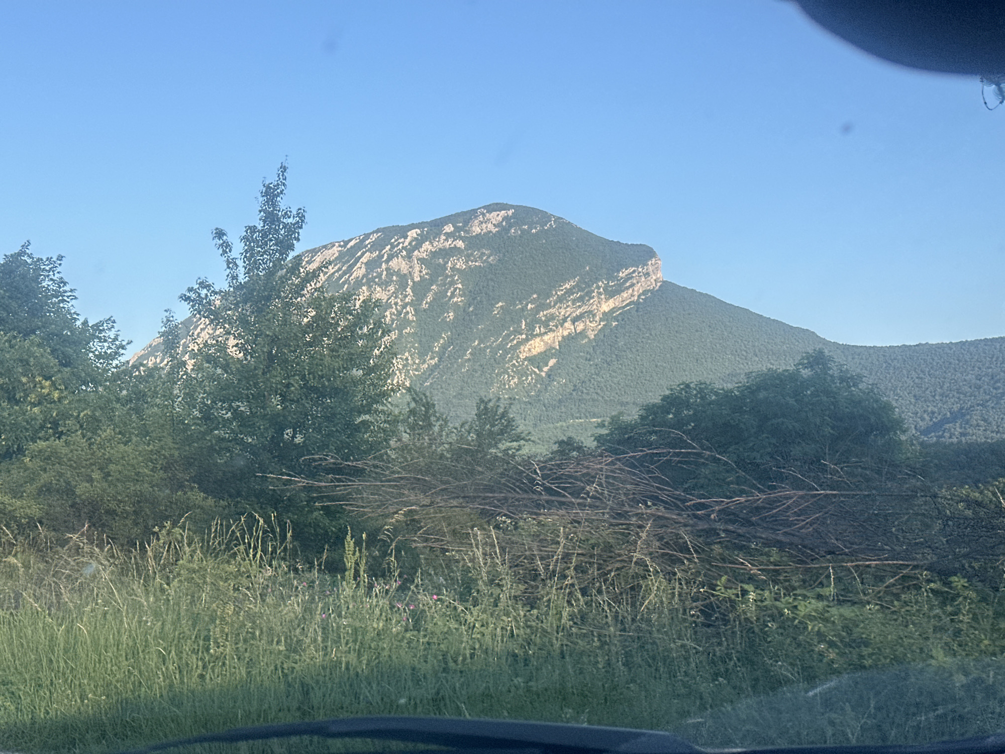 The image presents a natural landscape, seemingly captured from inside a vehicle due to the visible car dashboard or windshield at the bottom. In the foreground, tall green grass and a dense pile of dry, tangled branches are visible. A line of lush green trees and bushes forms the midground, partially obscuring the base of the mountains.
The main subject is a prominent mountain dominating the background, characterized by steep, light-colored rocky cliffs interspersed with dark green vegetation. Its peak and slopes show a mix of forested areas and exposed rock formations. To the right, more forested hills recede into the distance. The sky above is clear and bright blue, indicating sunny weather during the day. A small dark smudge is present in the upper right corner. The scene depicts a rugged, vegetated mountainous environment in Glavatsi, Bulgaria. No people or text are visible.