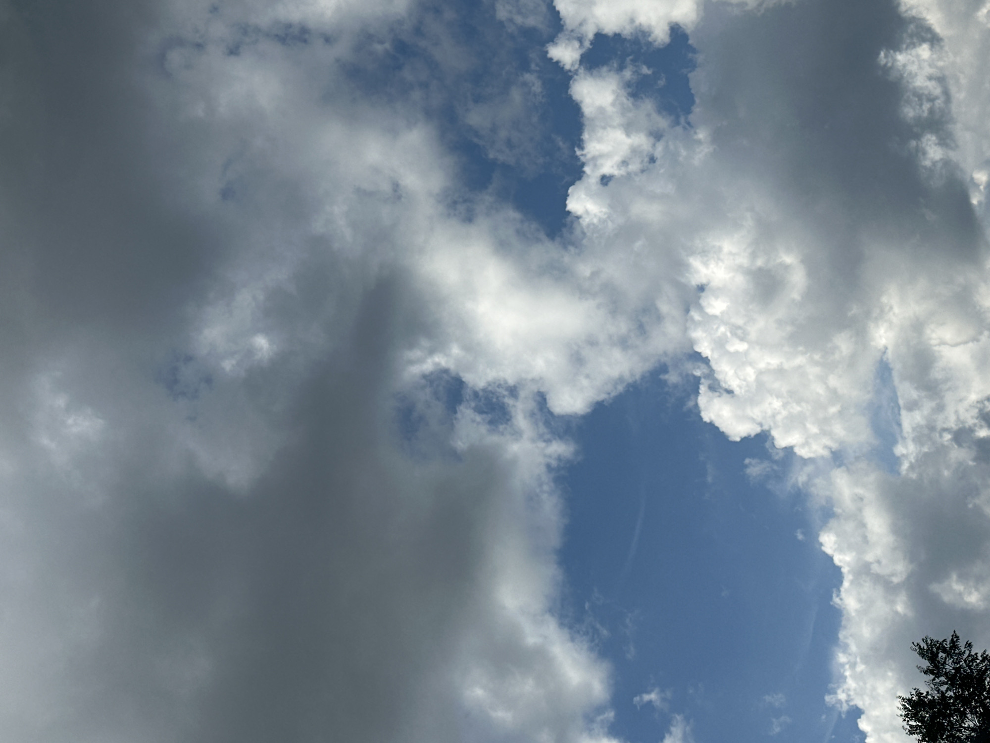 The image is an eye-level, medium shot of a dynamic sky. Large, dark gray storm clouds dominate the upper left portion of the frame, contrasting with patches of bright blue sky peeking through. In the lower half of the image, white, puffy cumulus clouds create a textured landscape against the blue. The lighting suggests it is daytime, with the clouds casting shadows on themselves, indicating depth and volume. The bottom left corner of the image features the dark silhouette of tree branches, suggesting the perspective is from ground level looking upwards. The scene captures a moment of changing weather, with both heavy cloud cover and clear sky visible.
