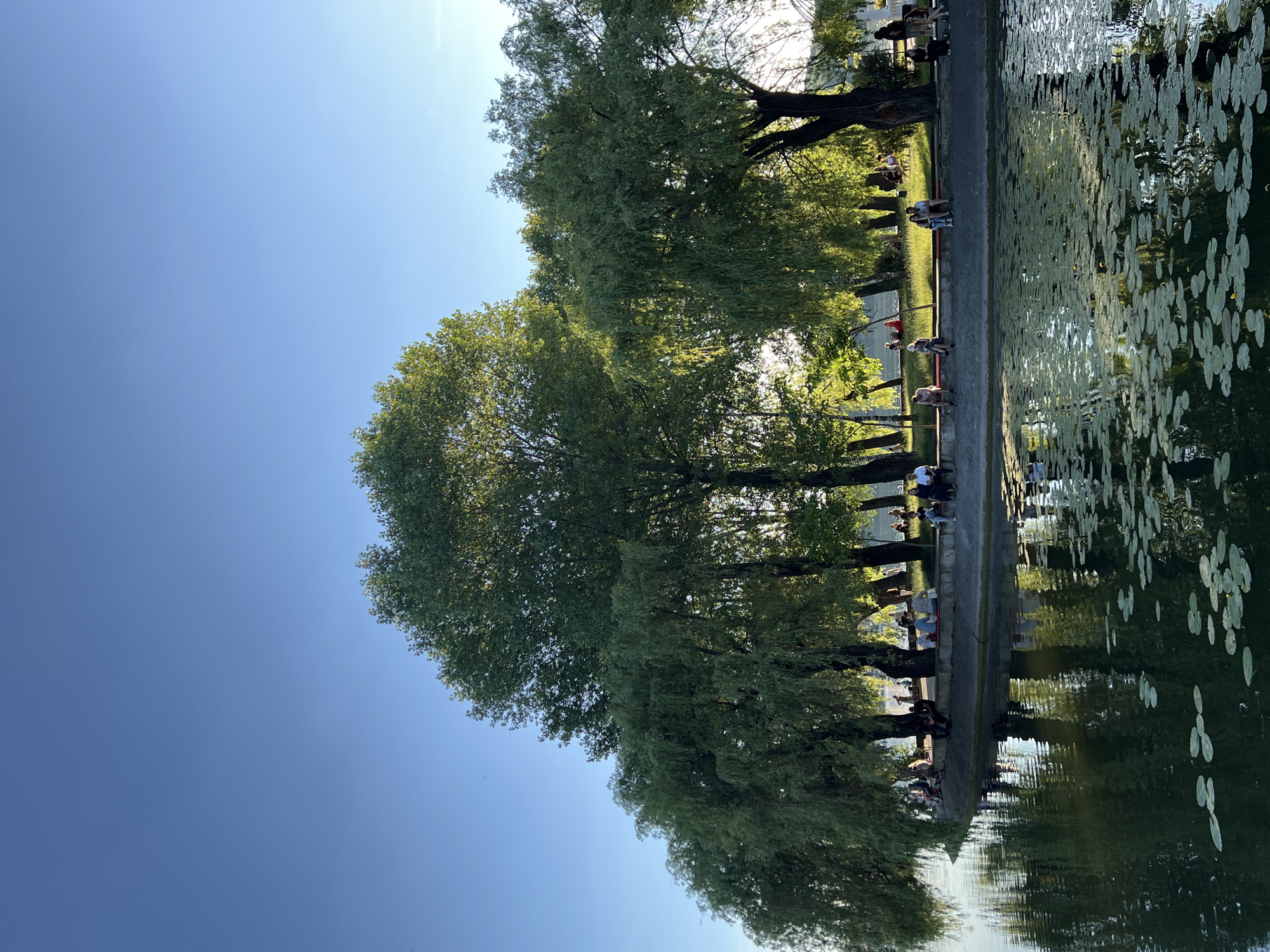 The image captures a serene scene at Ternopil Lake in Ternopil, Ukraine. A large body of water, adorned with lily pads, occupies the foreground. The far bank is lined with lush green trees, some with weeping branches, casting dappled sunlight onto a paved walkway and a grassy area beyond. Several people are visible sitting on benches and the edge of the walkway, enjoying the outdoors. The sky above is a clear, bright blue, indicating a pleasant day. The overall atmosphere is one of tranquility and leisure.