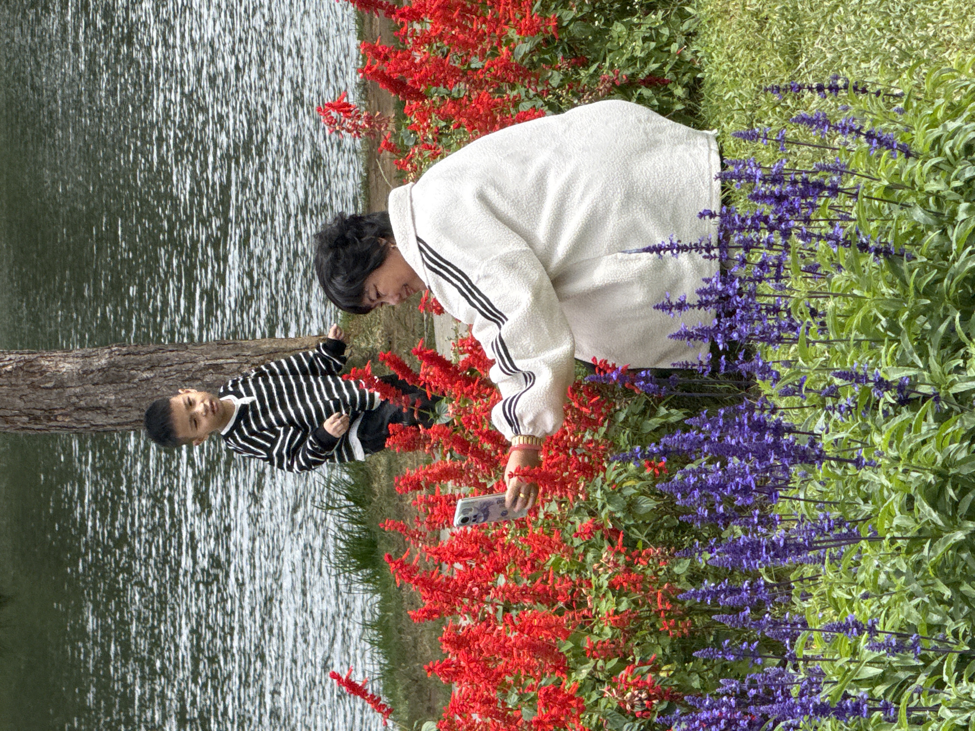 A woman is taking a selfie with a smartphone in a garden in Da Lat, Vietnam. She is crouching amidst bright red salvia flowers and purple lavender. The woman has short black hair and is wearing a cream-colored jacket with black stripes on the sleeves. Behind her, a young boy in a black and white striped long-sleeved shirt is standing near a large tree. The background shows a body of water, likely a lake, with ripples on its surface. The overall setting is a scenic outdoor location with lush vegetation.
