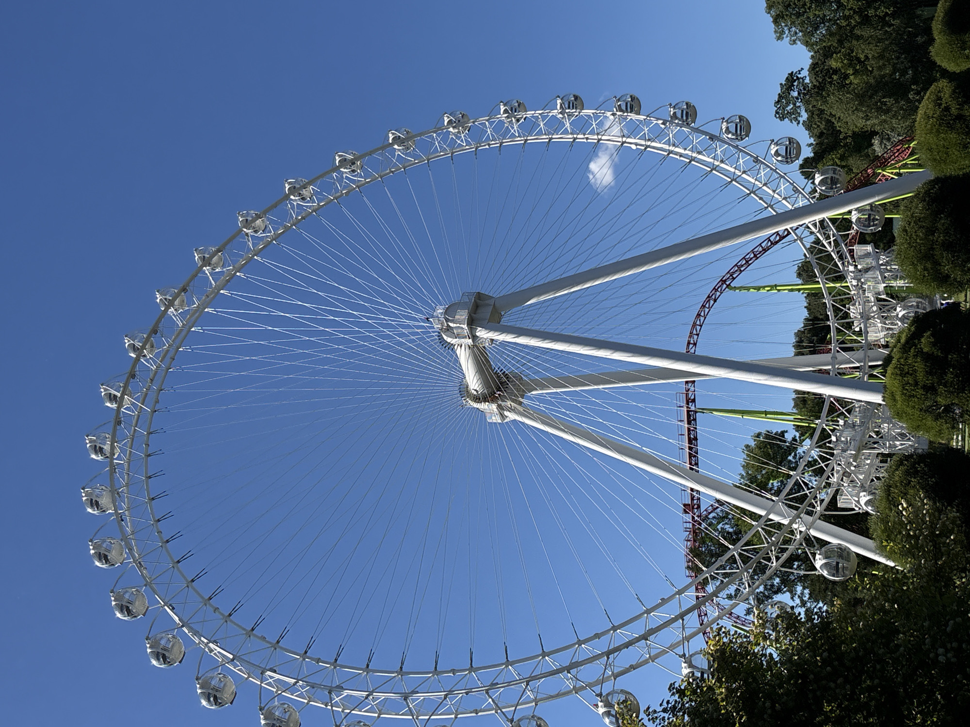 The image depicts a large Ferris wheel against a clear blue sky, located in the city of Saint Petersburg, Russia. The Ferris wheel is white and features numerous enclosed pods, some of which are visible along its circumference. The structure is supported by several white legs. In the background, a portion of a roller coaster track, with red and green elements, is visible among the trees. Lush green bushes and trees are in the foreground, partially obscuring the base of the Ferris wheel. The scene appears to be a daytime outdoor setting, likely an amusement park or recreational area.