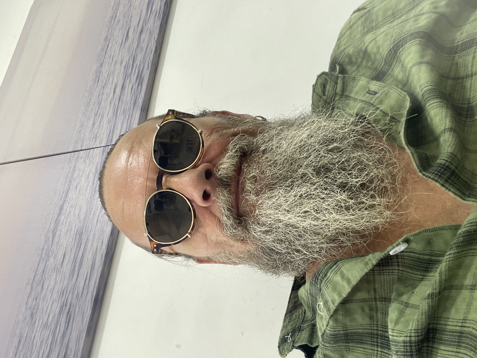 A close-up, front-facing photograph shows a man with a long, grey beard and a man bun. He is wearing round, brown-rimmed sunglasses with gold accents and a green plaid shirt. The man is indoors, with a white wall behind him and a large landscape painting of a body of water and sky mounted on the wall above and behind him. The painting appears to depict a calm sea with subtle wave patterns, rendered in muted blues and grays. The man's face is the central focus, with his beard occupying the lower half of the frame. His expression is neutral. The overall lighting suggests an indoor setting, possibly during the day, with soft illumination. No specific identifiable landmarks of Netanya, Israel are visible.