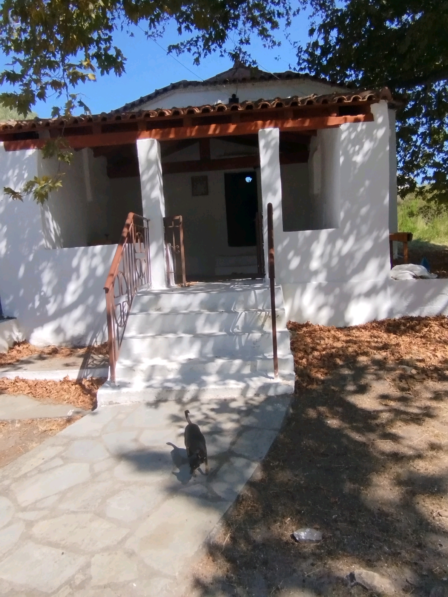 This is an outdoor, eye-level shot of a small, white, single-story building with a red-tiled roof. The building appears to be a chapel or small church, with a covered porch area supported by white pillars. The porch has a set of white stairs leading up to an entrance, and a brown metal railing on the left side of the stairs. The building is set back from a paved walkway, and the area around it is covered with dry leaves and dirt. Sunlight is casting dappled shadows from trees onto the building and the ground. A dark-colored dog is walking on the paved walkway in the foreground. The background consists of trees and a bright blue sky. The location is Sithonia Municipal Unit, Greece.