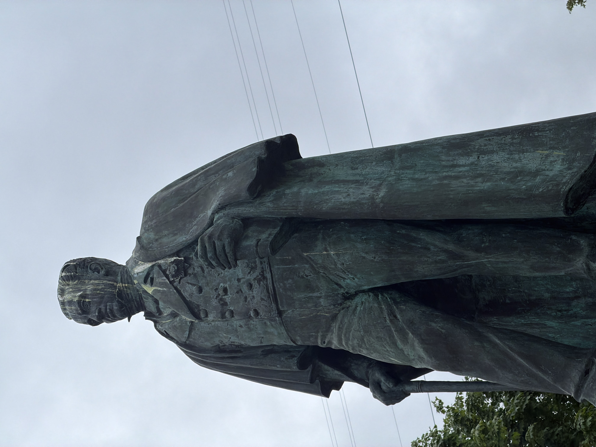 The image shows a low-angle view of a statue of Taras Shevchenko in Saint Petersburg, Russia. The statue is made of dark metal, likely bronze, and depicts a man in a long coat with a stick in his left hand. He wears a suit jacket underneath the coat. The sky is overcast, and some tree branches are visible in the lower right corner of the frame. Overhead power lines are visible in the top half of the frame. The statue has significant patina.