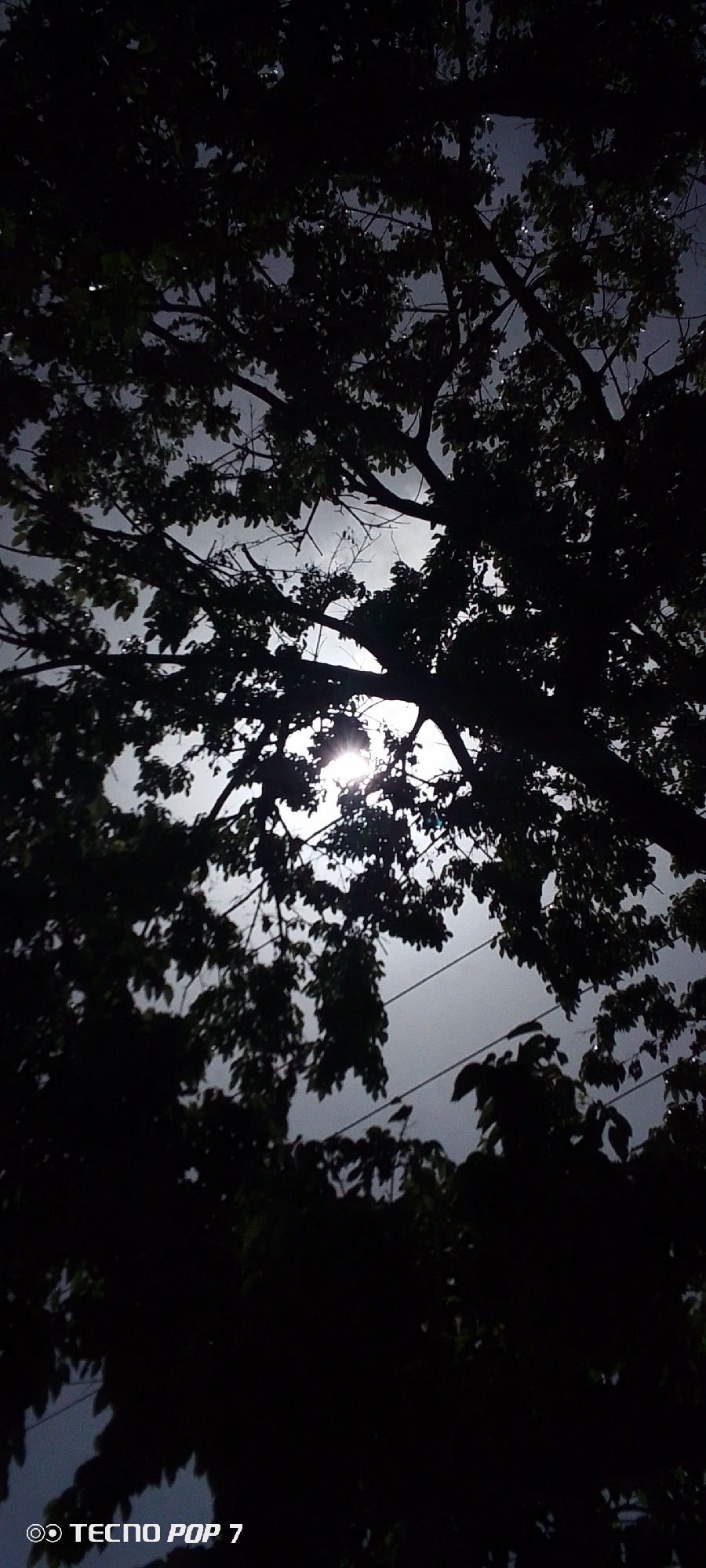 The image shows a silhouette of tree branches and leaves against a bright, washed-out sky. The light source is behind the tree, creating a sunburst effect. There are power lines visible in the background. The bottom of the image contains the text "TECNO POP 7". The location is indicated as Altagracia, Venezuela, though there are no landmarks visible that verify this.