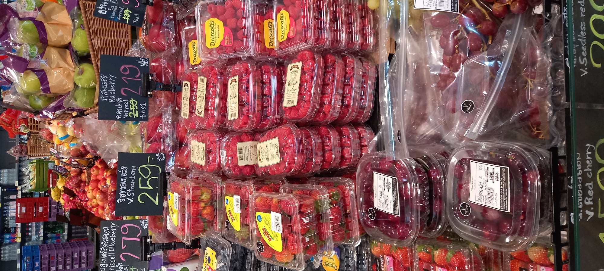 This image captures a vibrant and well-stocked produce section, likely in a grocery store or supermarket in Thailand. The scene is dominated by fresh fruits, primarily berries and grapes, displayed in various forms of packaging. The fruits are neatly arranged on shelves and in baskets, suggesting an organized retail environment.
The main subjects include numerous clear plastic clamshell containers filled with bright red raspberries, many bearing the "Driscoll's" and "GOLDEN BERRY" brand labels. Below these are similar containers of strawberries, some labeled "FOXY California Strawberries" and "GOLDEN Choice BERRY." Bunches of red grapes are visible, both loose in clear plastic bags marked with a "V FRUIT" logo and in plastic clamshells with labels indicating weight and price (e.g., "0.488 kg" for 775.92 and "0.434 kg" for 690.06). Green apples or pears, individually wrapped in plastic bags with purple ties, are also visible.
Several price tags with Thai and English text provide details. A black tag advertises "ราสเบอร์รี Raspberry" for 219 (with a normal price of 259) and mentions "the1". Another black tag shows "V. Strawberry" for 259, and a tag for "บลูเบอร์รีดริสคอล Driscoll Blueberry" for 279. Other tags indicate "V. Red cherry" and "V. Seedless red" (grapes) for 200. The fruits are meticulously presented, appealing to customers. The setting is brightly lit, highlighting the colors of the produce.