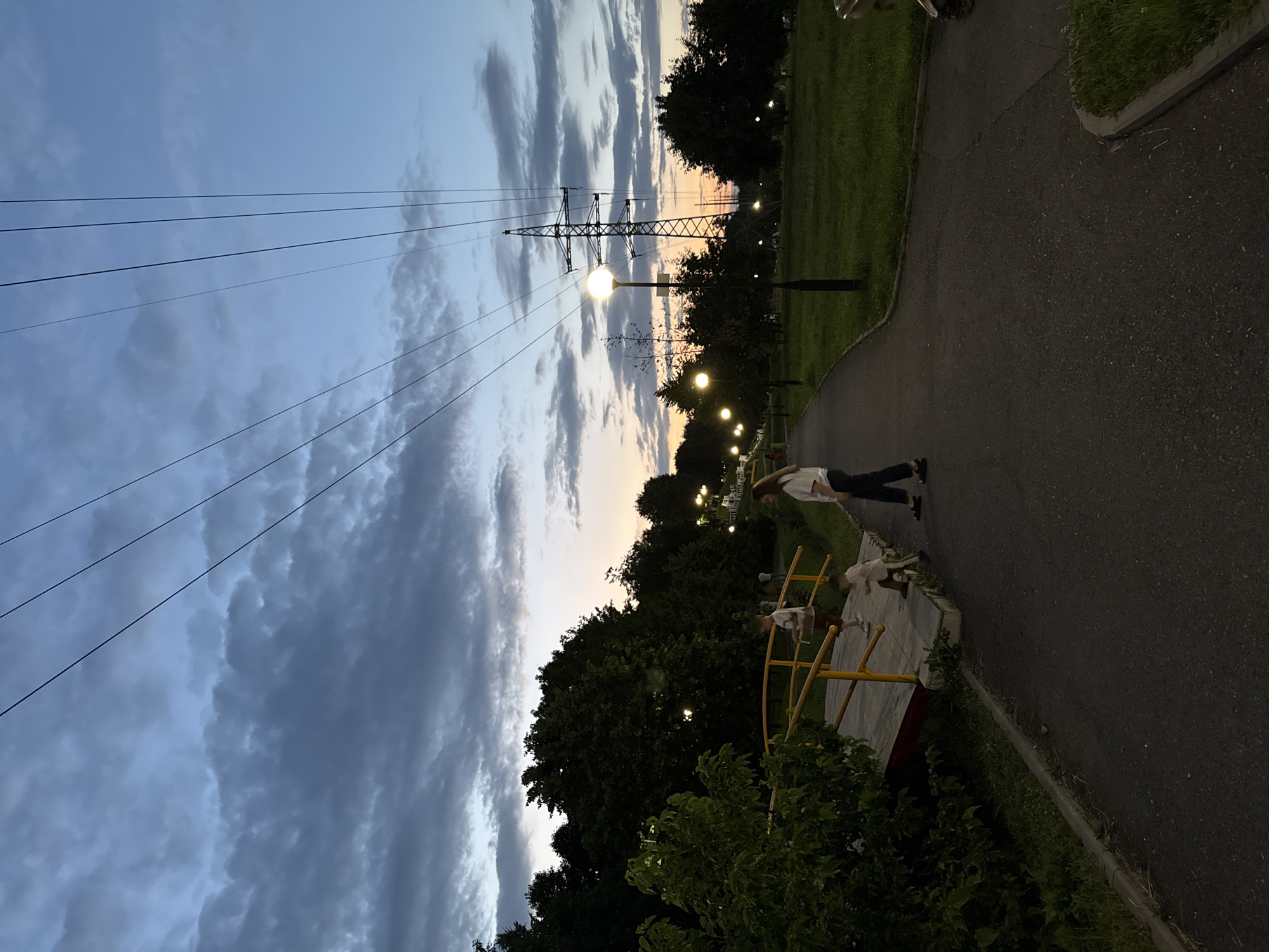 The image shows a park scene at dusk in Vladikavkaz, Russia. The sky is a mix of deep blue and lighter hues as the sun sets, with dramatic clouds casting shadows. Several power lines stretch across the sky, converging on a tall transmission tower in the distance. A paved pathway winds through the park, lined with green grass and trees.
Several people are visible on the pathway and in a small seating area. In the foreground, a person in a white shirt and dark pants is walking away from the camera. Further in the distance, there are two individuals, one appearing to be a child, on a raised wooden platform with a yellow railing. The platform is surrounded by trees. Streetlights are illuminated throughout the park, casting a warm glow on the pathway and grass. The overall mood is peaceful and serene, with the natural beauty of the park enhanced by the soft evening light. The scene suggests a casual evening stroll or a moment of relaxation in a public green space.