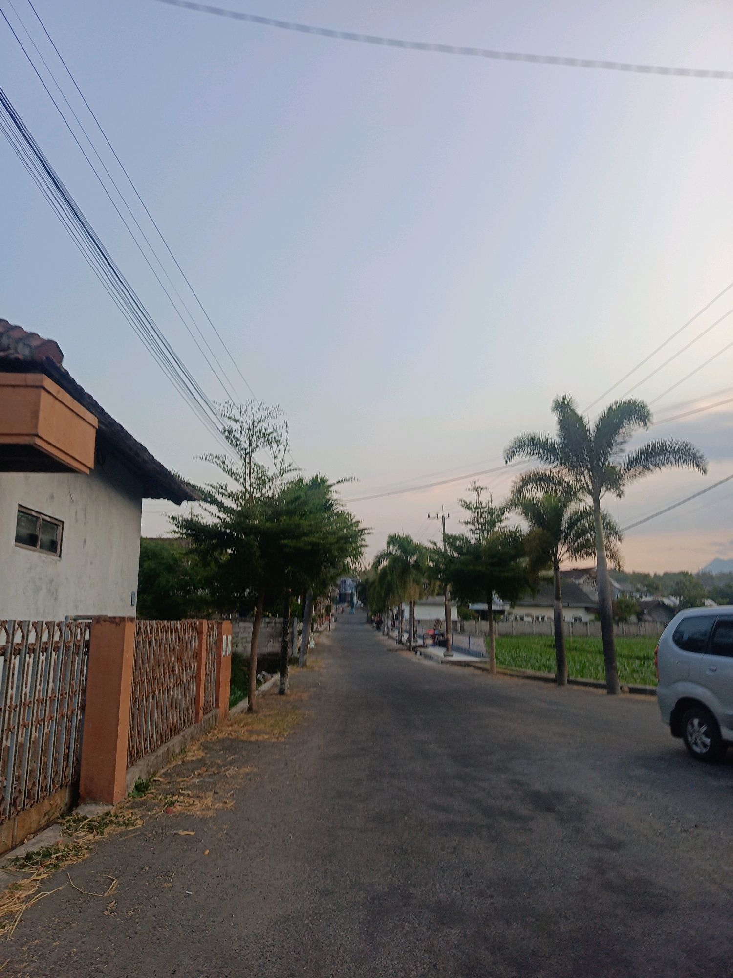 The image depicts a quiet residential street in Nitikan, Indonesia, likely during the late afternoon or early morning given the soft, diffused light. A paved road runs from the foreground into the distance, lined with mature trees, including palm trees, and some smaller ornamental trees. On the left side of the road, a white house with a brown tiled roof and a distinctive brown overhang is visible, partially obscured by a rusty metal fence and a concrete wall. To the right of the road, a bright green field, possibly agricultural, stretches into the background. A silver minivan is parked on the right side of the road, facing away from the camera. Overhead, several black electrical wires crisscross the pale sky. The overall impression is one of a peaceful, suburban environment with a blend of residential structures and agricultural land.