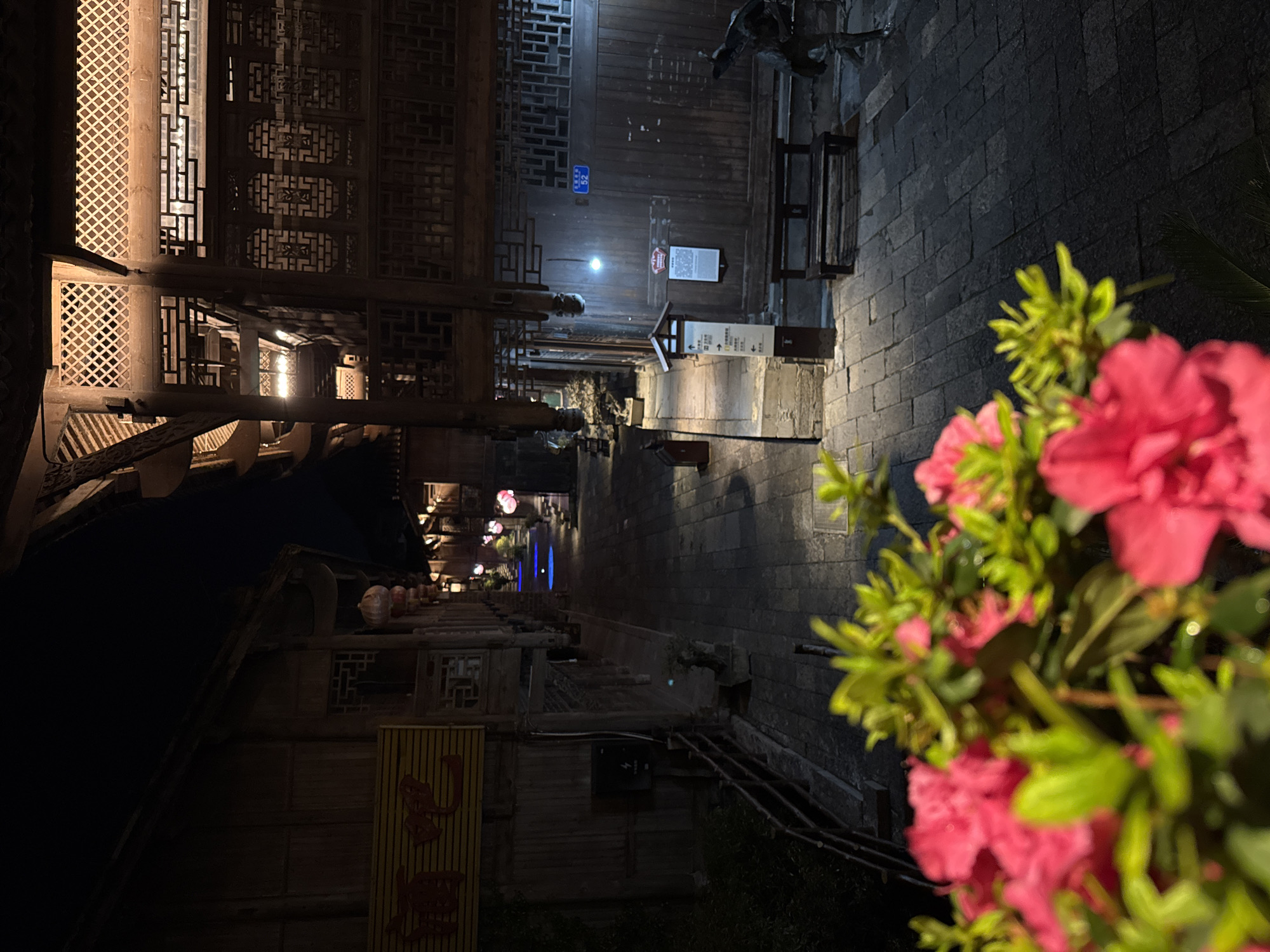 The image shows an alley in the city of Zhuoshui, China, at night. The view is looking down the alley. The buildings are traditionally styled with wooden lattice work. The alley is paved with stone. Streetlights illuminate the scene. There are red flowers in the foreground.