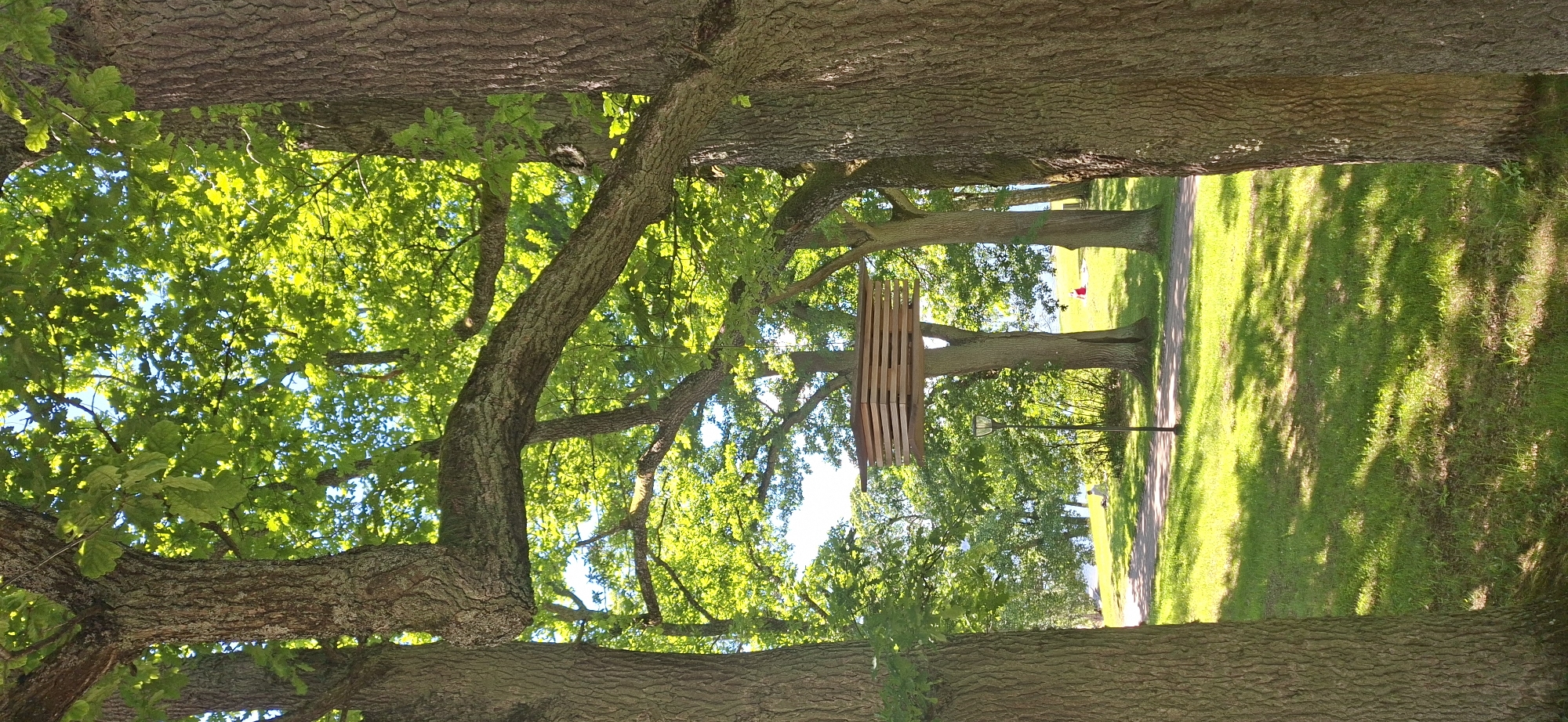The image captures a sunlit park scene, likely in Lahti, Finland, characterized by lush green grass and mature trees. In the foreground, two large trees with textured bark frame the view. Hanging from a branch between these trees is a modern, multi-layered wooden structure, possibly a bird feeder or art installation. A paved path winds through the park, and in the middle ground, a single lamppost stands beside the path. Further in the background, a body of water, likely a lake, is visible. Two individuals are present in the distance: one seated on the grass near the water, and another wearing red, also on the grass, further to the right. The overall atmosphere is serene and natural, with sunlight dappling through the leaves, creating a vibrant and peaceful environment.
