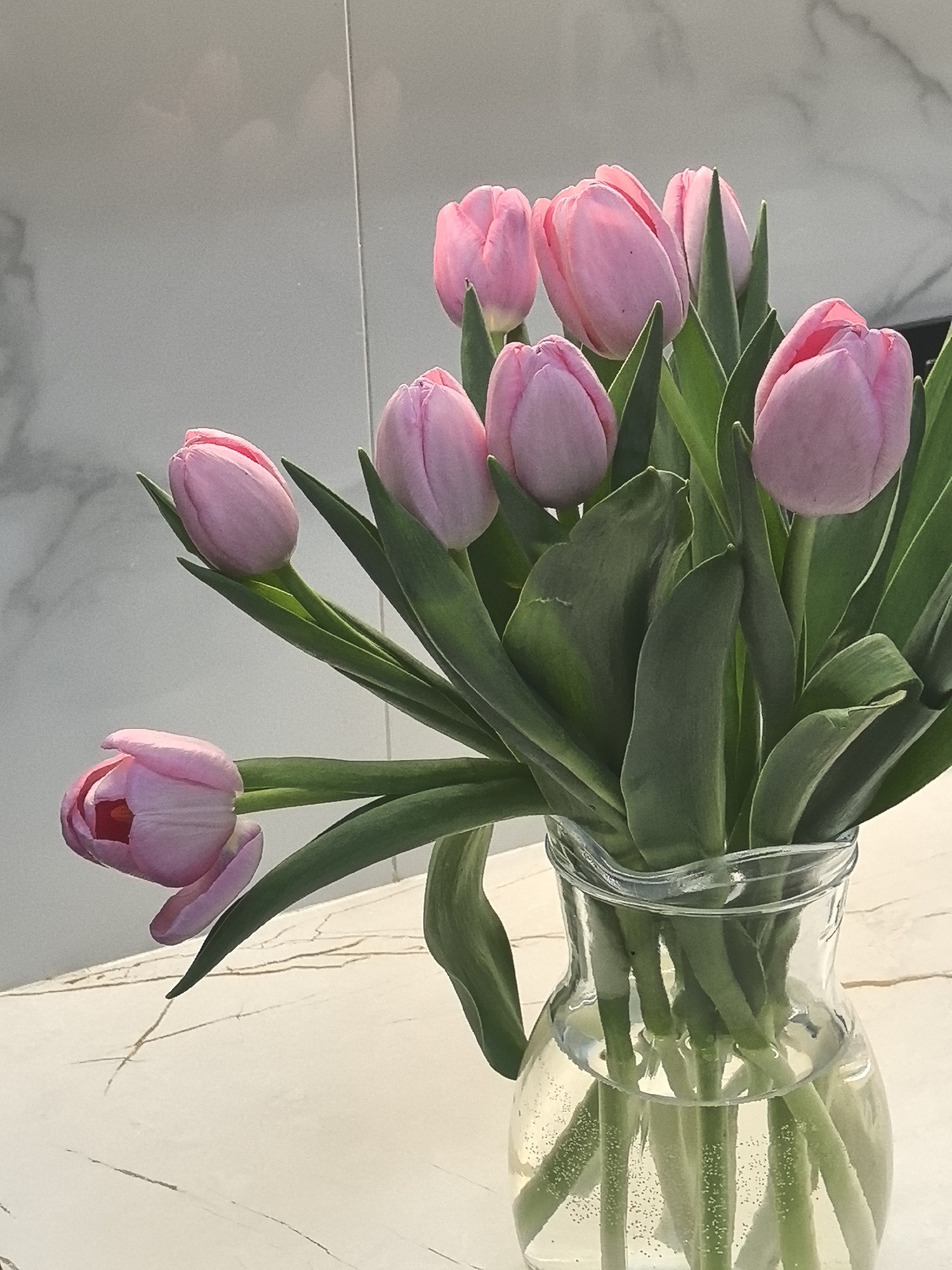 A vase of pink tulips sits on a marble-patterned surface against a white, possibly tiled, background. The vase is transparent, revealing the green stems inside and bubbles in the water. There are eight visible tulip heads. The location in the city of Perm, Russia is not discernible from the image.