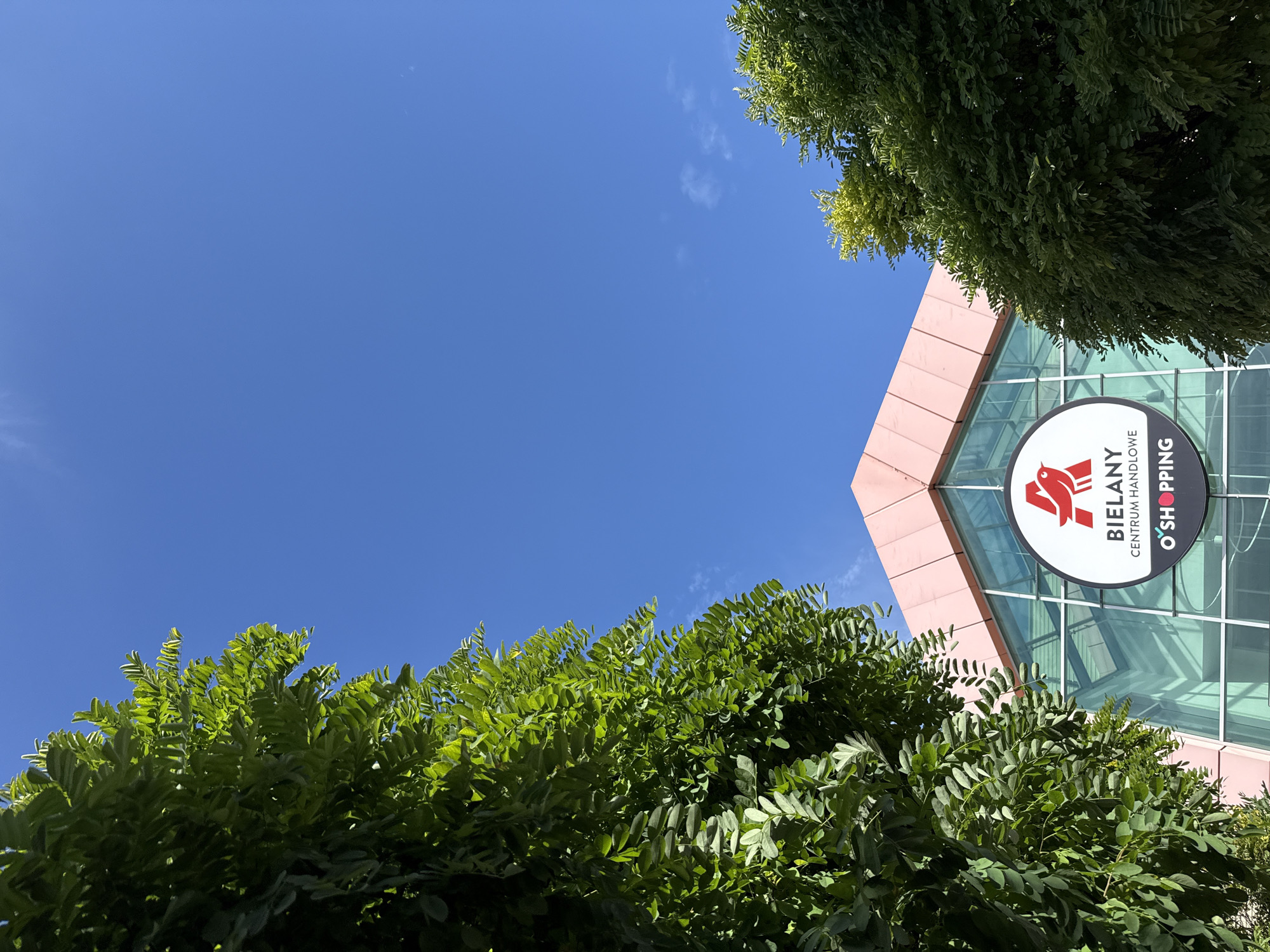 The image shows a view from below looking up at the facade of a shopping center. The building has a modern design with a pink, angular roof and large glass windows. A circular sign with the text "BIELANY CENTRUM HANDLOWE" and a red bird logo is prominently displayed on the glass facade. Lush green trees with dense foliage frame the building from the left and right, with their branches reaching towards the bright blue sky, which has a few wispy clouds. The scene is brightly lit, suggesting it was taken on a sunny day. The shopping center is located in Bielany Wrocławskie, Poland. There are no people visible in the image.