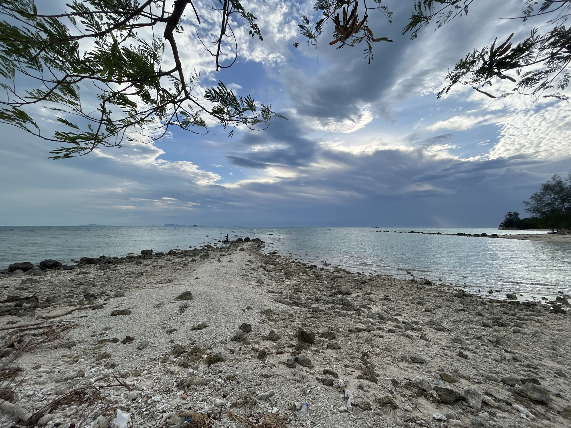 A wide-angle, eye-level shot captures a rugged, rocky beach leading into calm, turquoise ocean waters under a dynamic sky filled with dramatic clouds. The foreground is dominated by a textured expanse of grey and white pebbles, shells, and scattered driftwood, with hints of plastic debris near the bottom. A narrow strip of this rocky terrain extends into the water, forming a natural causeway. In the distance, a lone figure stands on this rocky outcrop, facing the sea, with a distant island chain visible on the horizon. The sky exhibits a mix of bright white clouds and darker, more ominous storm clouds, with patches of blue sky visible. Tree branches with green leaves and dried seed pods frame the top of the image, obscuring parts of the sky. The scene appears to be set in a coastal area of ตำบลเกาะพะงัน, Thailand, possibly during the late afternoon or early evening given the lighting conditions.