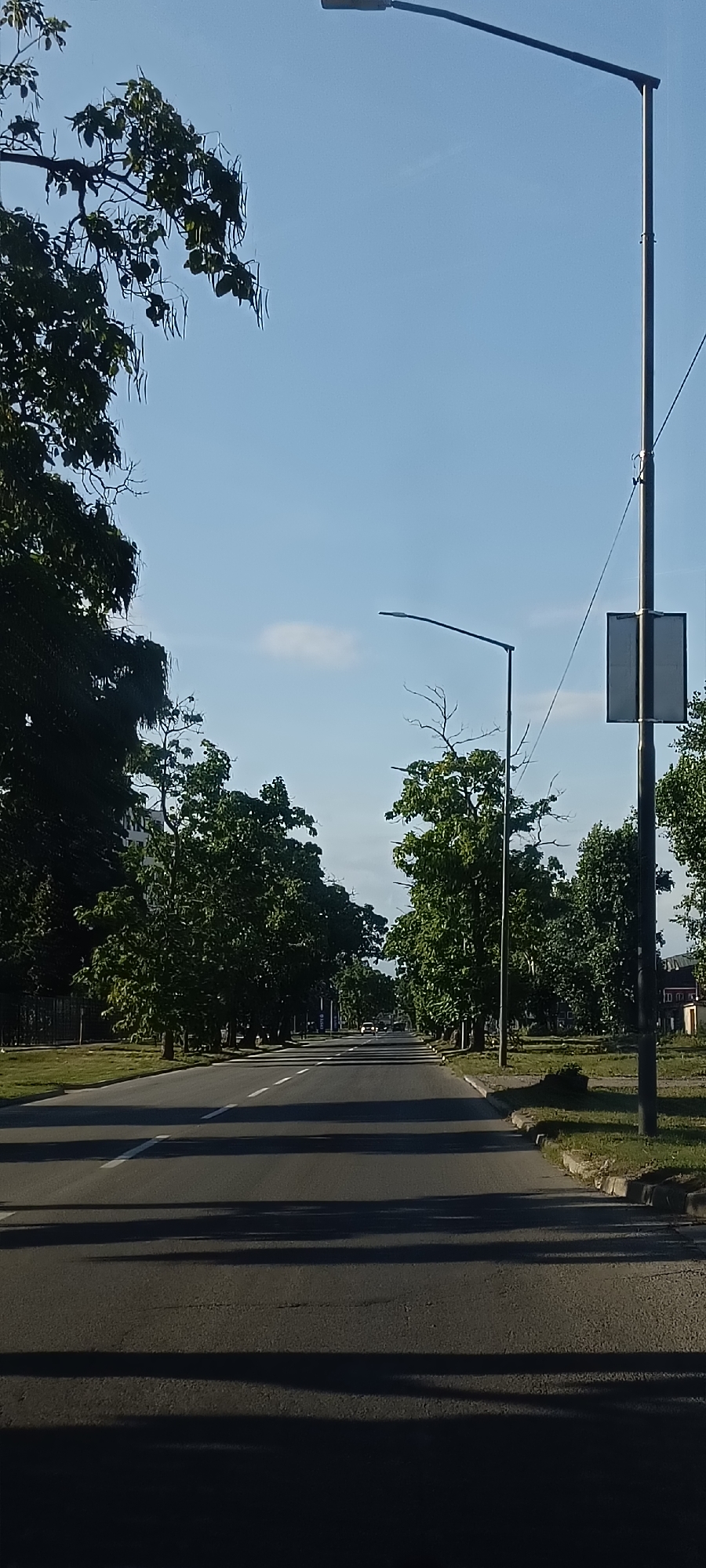 This image captures a street scene in Novi Sad, Serbia, on a clear day, likely late morning or early afternoon given the shadows cast by the trees. The setting appears to be a wide, paved road lined with mature trees on both sides, creating a shaded, tree-lined avenue. The road has clear lane markings, suggesting it is a well-trafficked route.
Dominating the foreground and right side of the image are tall, modern streetlights, one prominently featured on the right and another further down the road. One of the streetlights has a rectangular sign attached to it, though its content is not discernible. Lush green foliage from the trees overhangs the road in places, and a single, small cloud drifts in the bright blue sky.
The road stretches into the distance, where a few vehicles can be seen, indicating ongoing traffic. The presence of well-maintained trees, the paved road, and the streetlights suggest an urban or suburban environment. There are no people clearly visible in the image. The overall impression is one of a peaceful, everyday scene in a well-established area. The lighting suggests fair weather, contributing to the serene atmosphere.