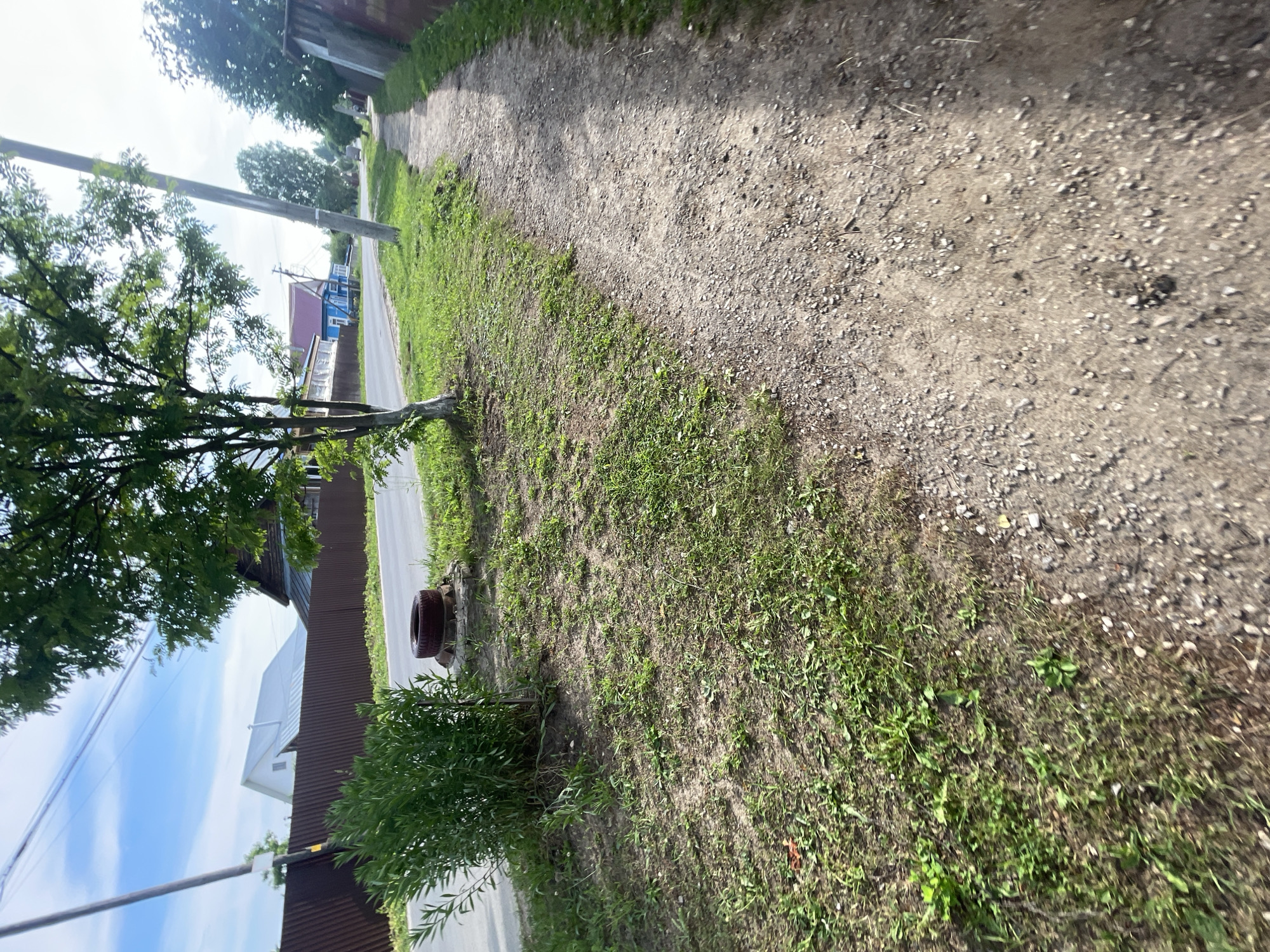 A dirt pathway runs along the right side of the image, leading into the distance. To the left of the path is a grassy area with a few trees and a short, dense bush. Beyond the grass is a paved road, separated by a brown, corrugated metal fence. On the other side of the road, houses and a large white building with a silver roof are visible. The sky is blue with scattered clouds. The location is confirmed to be Krasnye Baki, Russia.