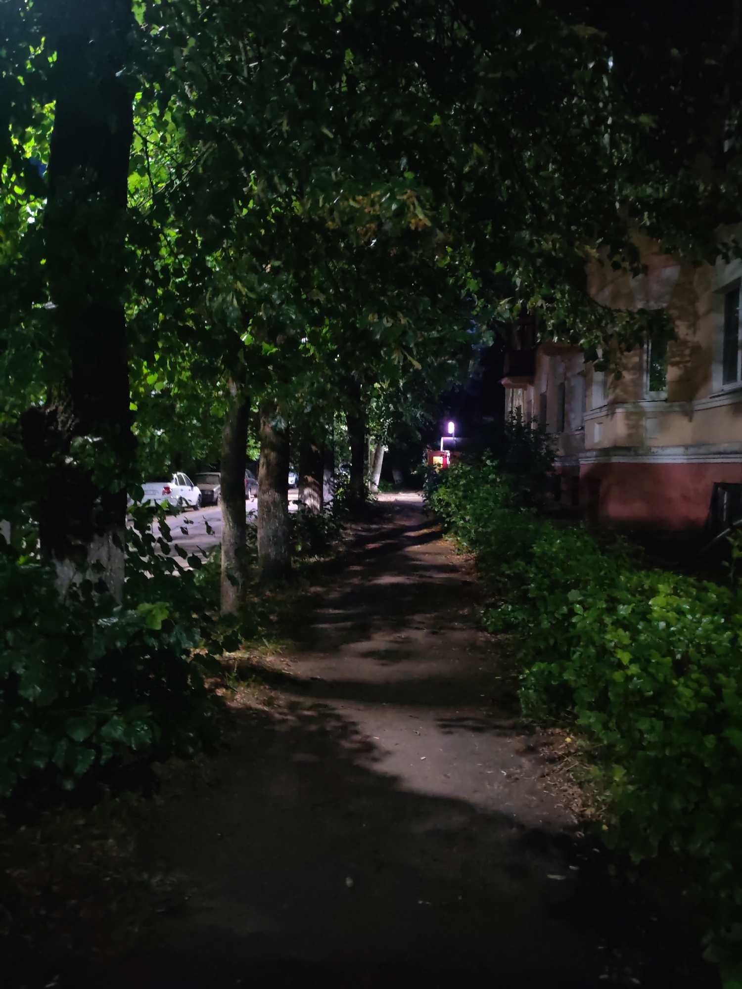 This is a night-time image of a sidewalk in the city of Vladimir, Russia. The sidewalk is lined with trees on the left and a building on the right. The trees have dark green leaves and cast shadows on the sidewalk. There are a few cars parked on the side of the road visible through the trees. A building with a pink and beige facade is visible on the right side of the image, with several windows and a balcony. A street lamp with a pinkish glow is visible in the distance, illuminating a portion of the sidewalk. The overall atmosphere is dark and quiet.