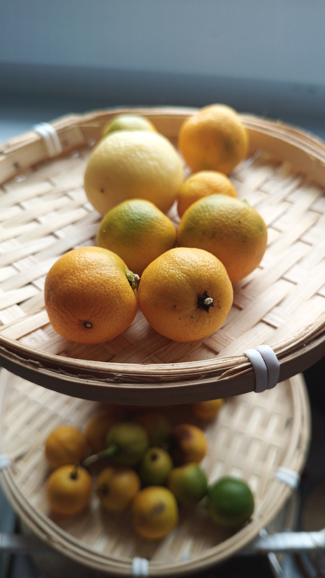 The image shows two woven baskets stacked on top of each other. The top basket contains several citrus fruits, including oranges and a lemon. The oranges are various shades of orange and yellow-green. The bottom basket contains more citrus fruits that are yellow, green and partially brown. The scene is indoors and brightly lit with a light-colored window in the background. The location and specific city are unknown.