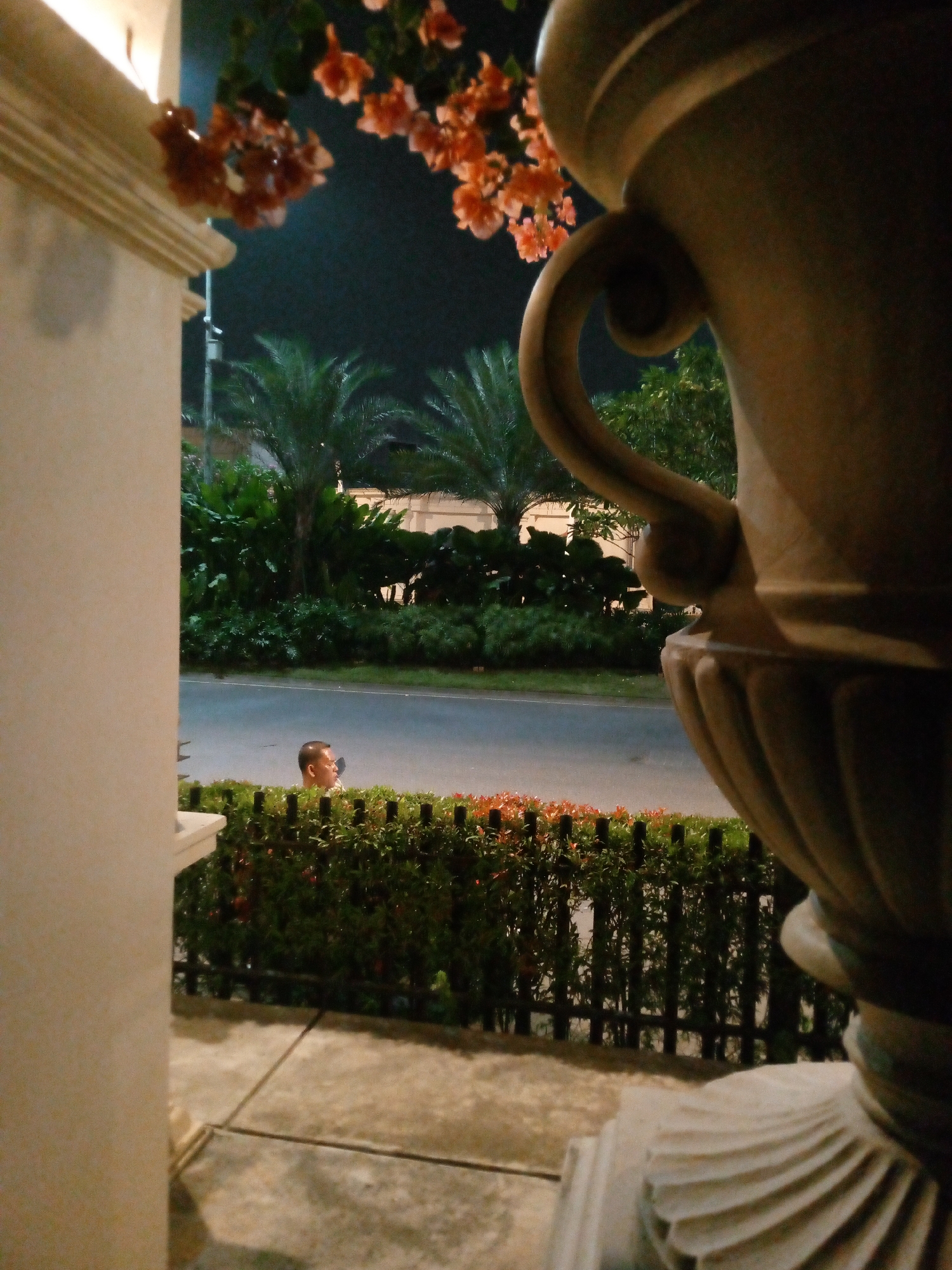 In Bitung Jaya, Indonesia, at night, a man is standing near a hedgerow with orange flowers and a black fence in front of a road. Palm trees and lush greenery are visible behind the road, with some structures in the background. In the foreground, a large, ornate vase is positioned to the right, obscuring part of the view. A pillar is on the left side of the frame. The lighting suggests an outdoor setting, possibly a garden or patio area.