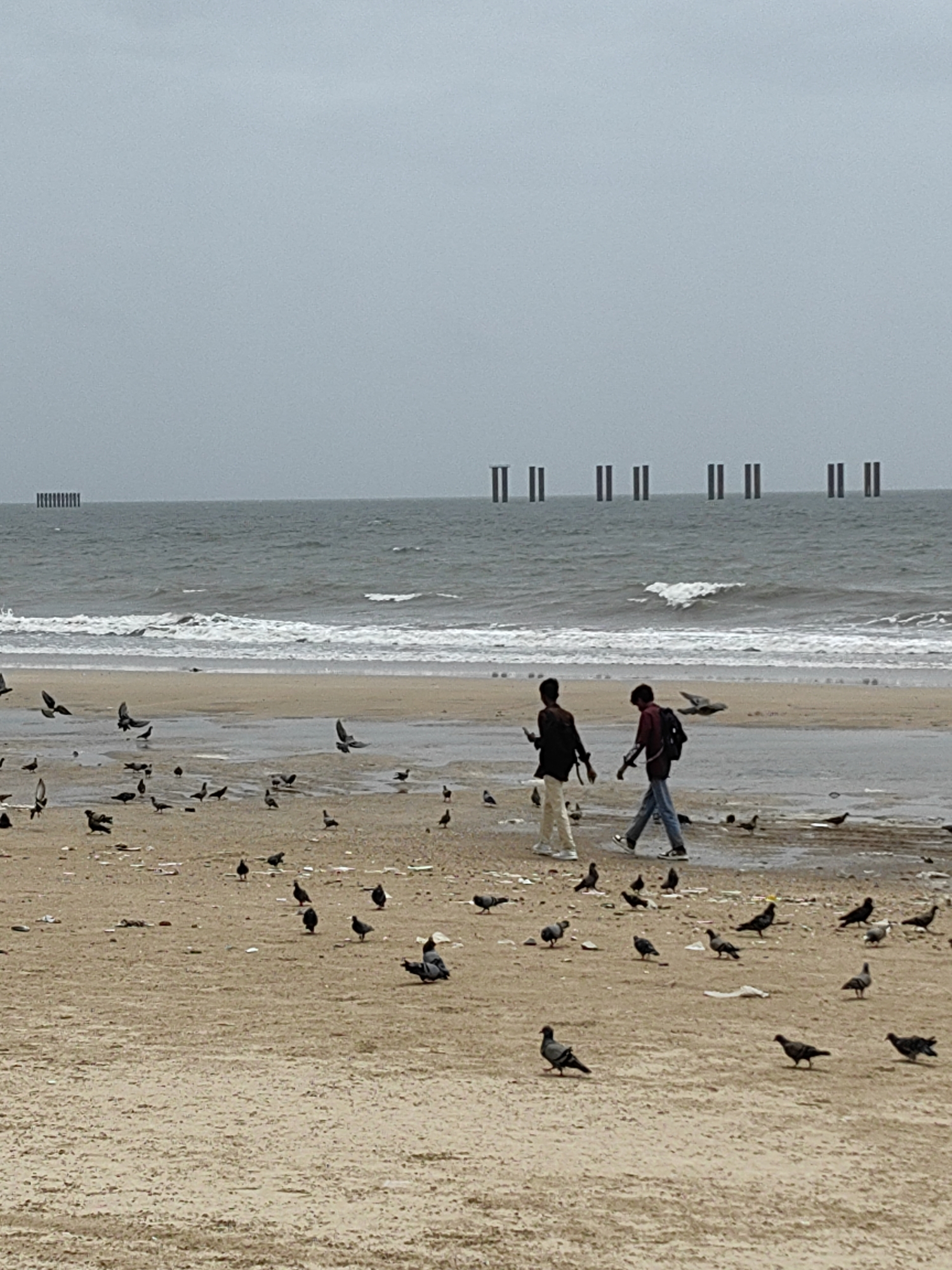 Two young men are walking along a wet sandy beach, littered with debris. They are surrounded by a flock of pigeons, some of which are in flight. The sea is rough with waves crashing on the shore. In the distance, silhouetted against the overcast sky, are several tall, narrow structures that appear to be pilings or remnants of a pier. This scene is consistent with the coastline of Mumbai, India, a city known for its beaches and maritime infrastructure.