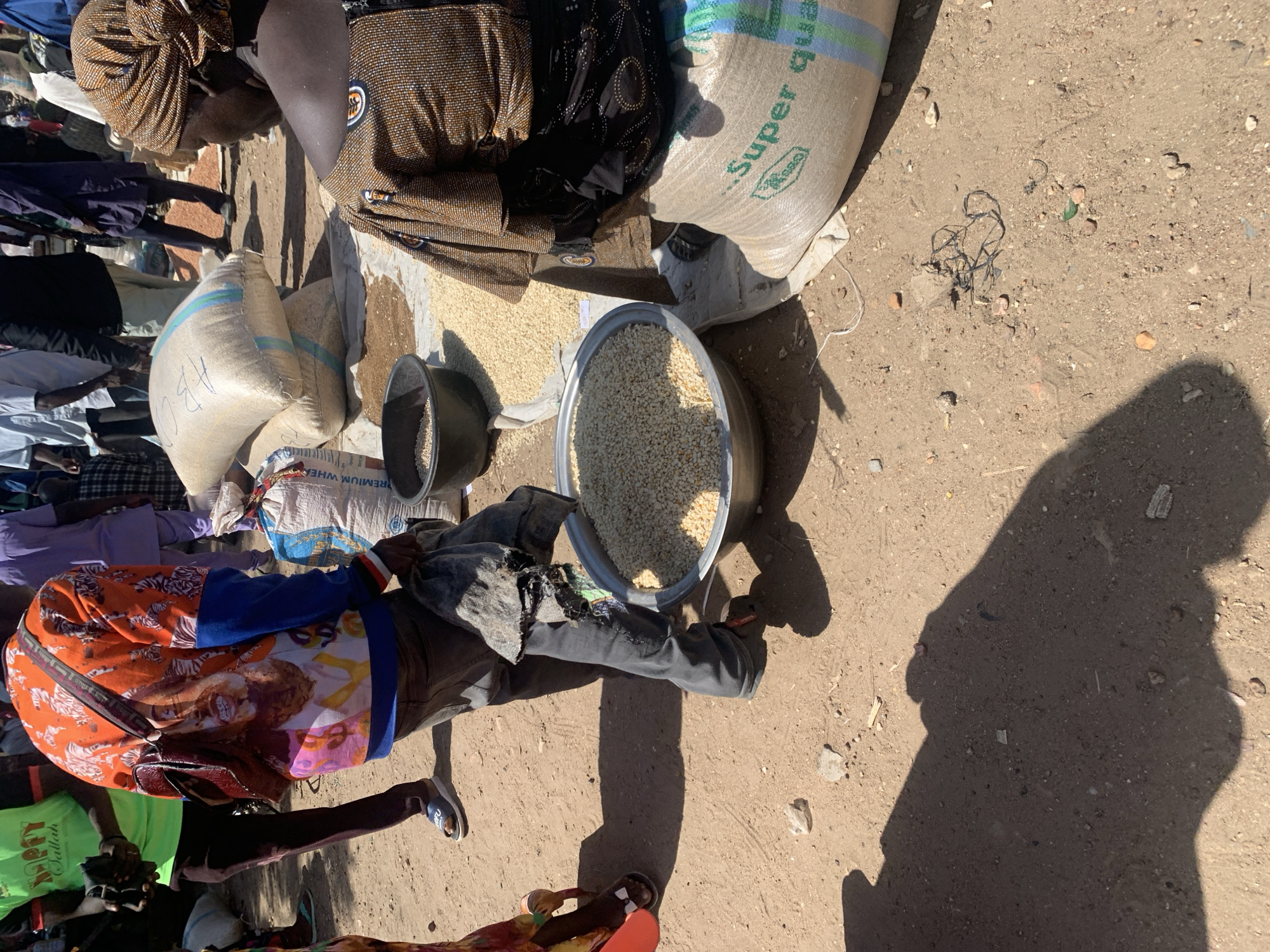 In a sandy outdoor market, likely in Gobbiya, Nigeria, several people are engaged in selling and buying grains. The scene is bustling, with various sacks of grains and open containers of loose grains displayed. One large, white sack with blue and green stripes bears the text "Super Qual" and a logo. Another sack is partially visible with the text "PREMIUM WHEAT". A person in the foreground wears a colorful, patterned top with images of tigers and faces, and a dark handbag slung across their body. Other individuals are dressed in traditional clothing and more casual attire, with some wearing headscarves.
Two large, grey, shallow bowls are filled with light-colored grains, possibly corn or millet, with one being actively scooped from. Several other sacks of grain are stacked or laid out in the background. The ground is dusty and uneven, typical of a market setting. The presence of multiple people and the arrangement of goods suggest a commercial transaction is in progress. Shadows stretch across the ground, indicating the sun is high in the sky, suggesting it is midday. The overall atmosphere appears to be one of active commerce.