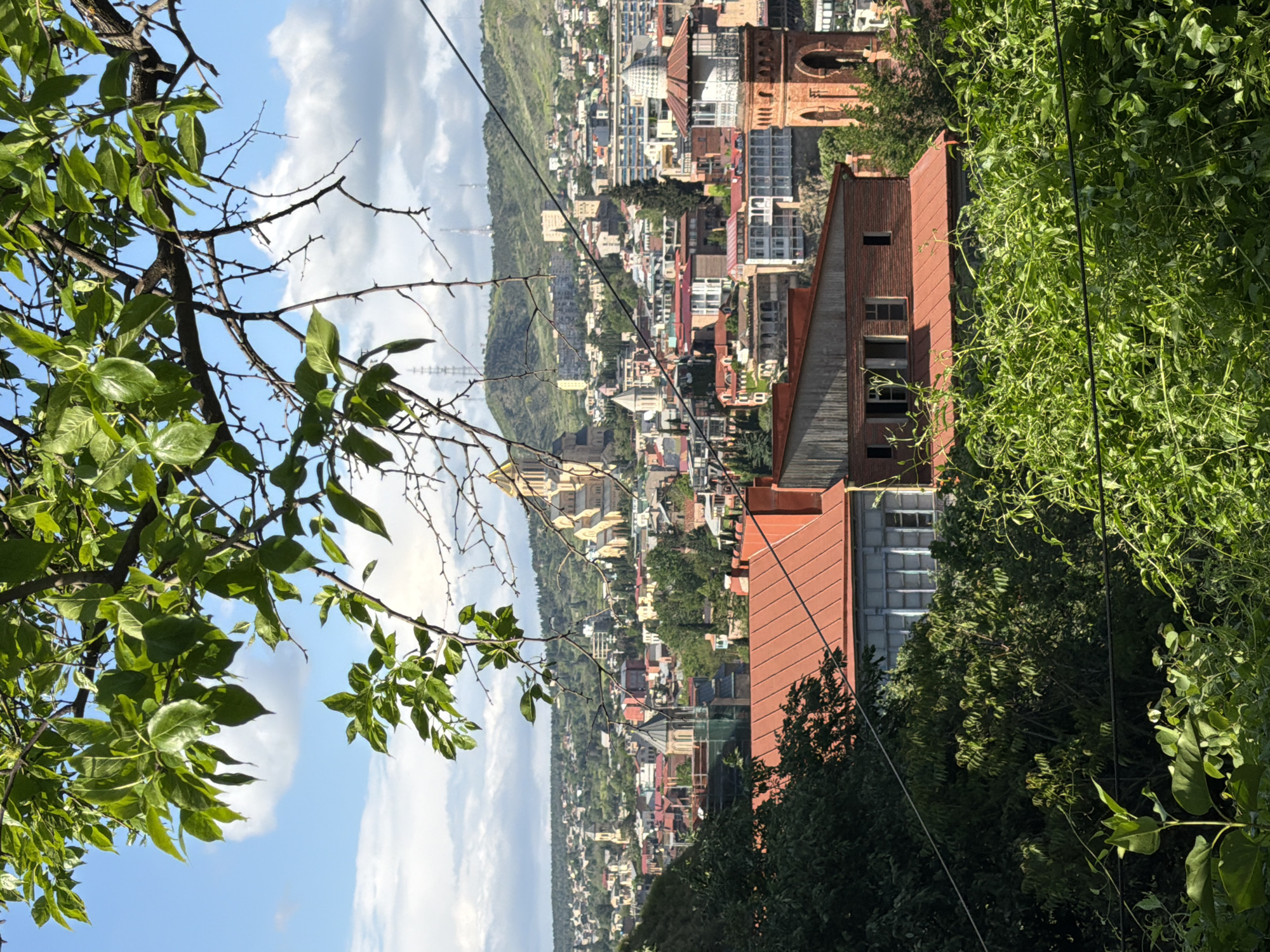 An eye-level, medium outdoor shot, rotated 90 degrees clockwise, depicts a portion of the city of Tbilisi, Georgia, as viewed from an elevated vantage point. The landscape includes buildings, hills, and vegetation.
To the left, foliage fills the frame, partially obscuring the sky. In the center, buildings are dispersed along a sloped terrain. A tower is visible in the top right. In the middle ground, a building with a red roof is centrally located. The right side of the frame is filled with vegetation. A dark electrical wire bisects the view.