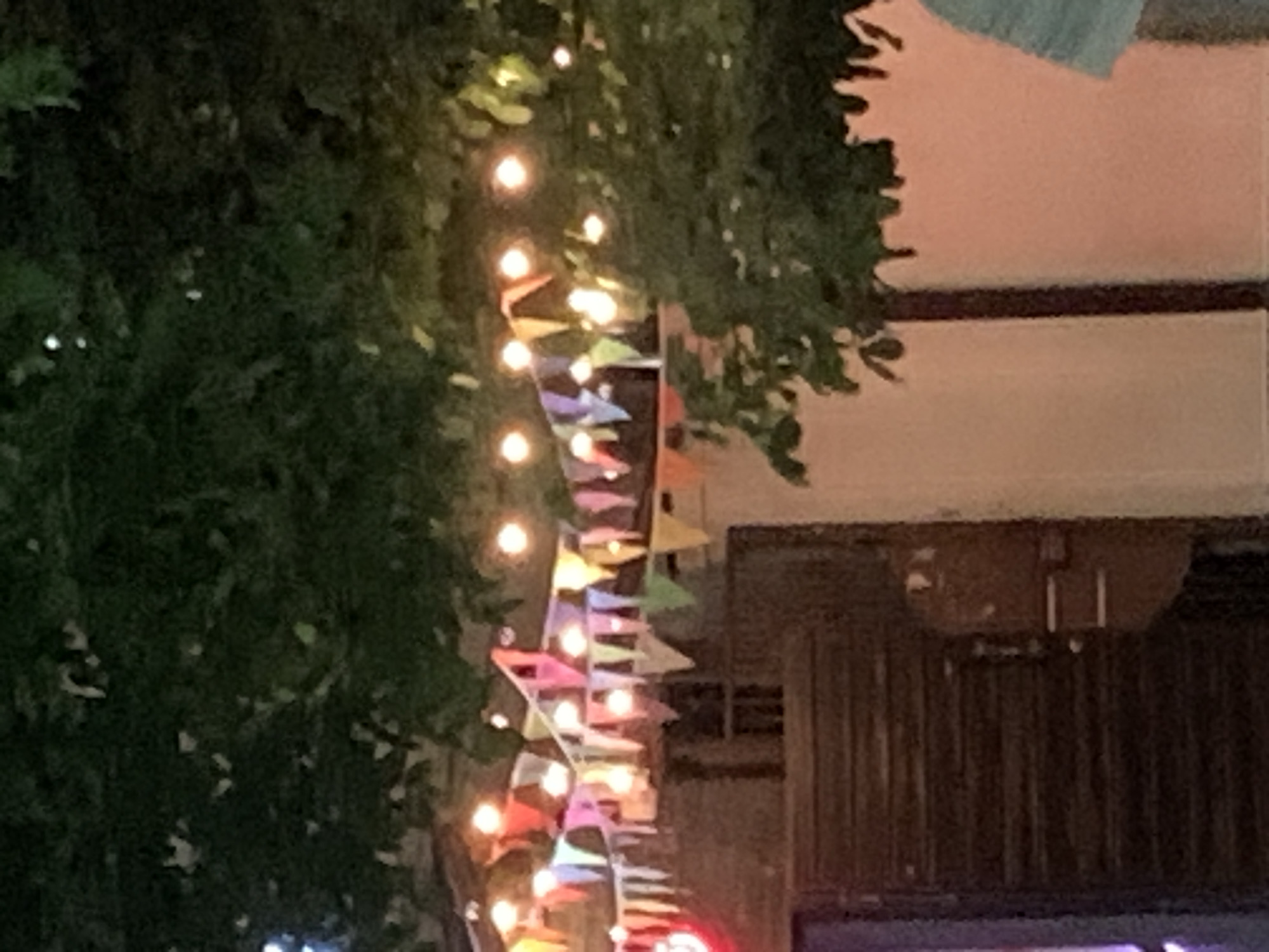 A string of colorful triangular pennant flags are strung across the foreground, illuminated by a series of small, round lights. The flags are suspended from tree branches laden with dark green leaves that fill the upper portion of the image. Behind the flags, a portion of a rustic, dark wooden door or gate is visible, featuring horizontal planks and what appears to be a metal handle or latch. To the right of the door, a light-colored wall forms the background, partially obscured by a dark tree trunk. The lighting suggests it is evening or nighttime, with artificial lights casting a warm glow.