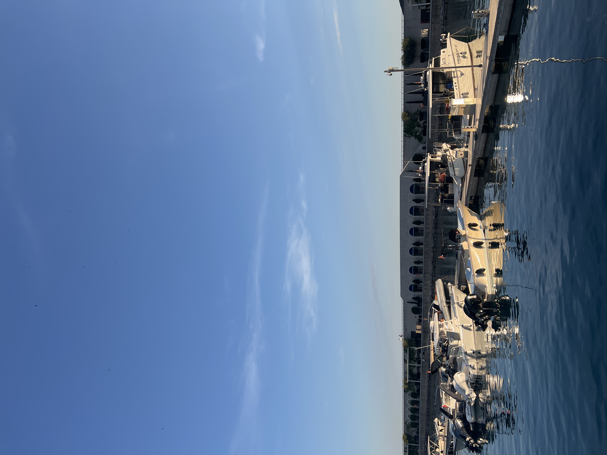 The image displays a serene marina scene under a bright, clear blue sky, viewed as if horizontally oriented. The sky, occupying the upper two-thirds of the frame, is a vibrant cerulean, marked by a few delicate, wispy white clouds and several tiny, dark specks, likely distant birds.
The lower third of the image is filled with calm, dark blue water, which beautifully reflects the sky and the docked vessels. Streaks of shimmering sunlight dance across the water's surface, creating bright reflections.
Along the water's edge, numerous boats are moored to a light-colored pier or quay. These are primarily white, small to medium-sized leisure or fishing boats, many equipped with visible outboard engines. On the hull of one prominent white boat, the text "FISHERMAN 25" is clearly visible, with "41-TV" written beneath it. An inflatable boat further along the dock shows "ZODIAC" on its engine.
In the background, behind the pier and boats, a long, light-colored building stretches across the shoreline. It features a series of distinctive rounded arches, suggesting a classic waterfront architectural style. Patches of green foliage, possibly small trees or shrubs, are visible lining parts of the building.
The scene is brightly lit by what appears to be late morning or early afternoon sunlight, creating a tranquil and peaceful atmosphere. The location captured is a marina in Radovići, Montenegro.