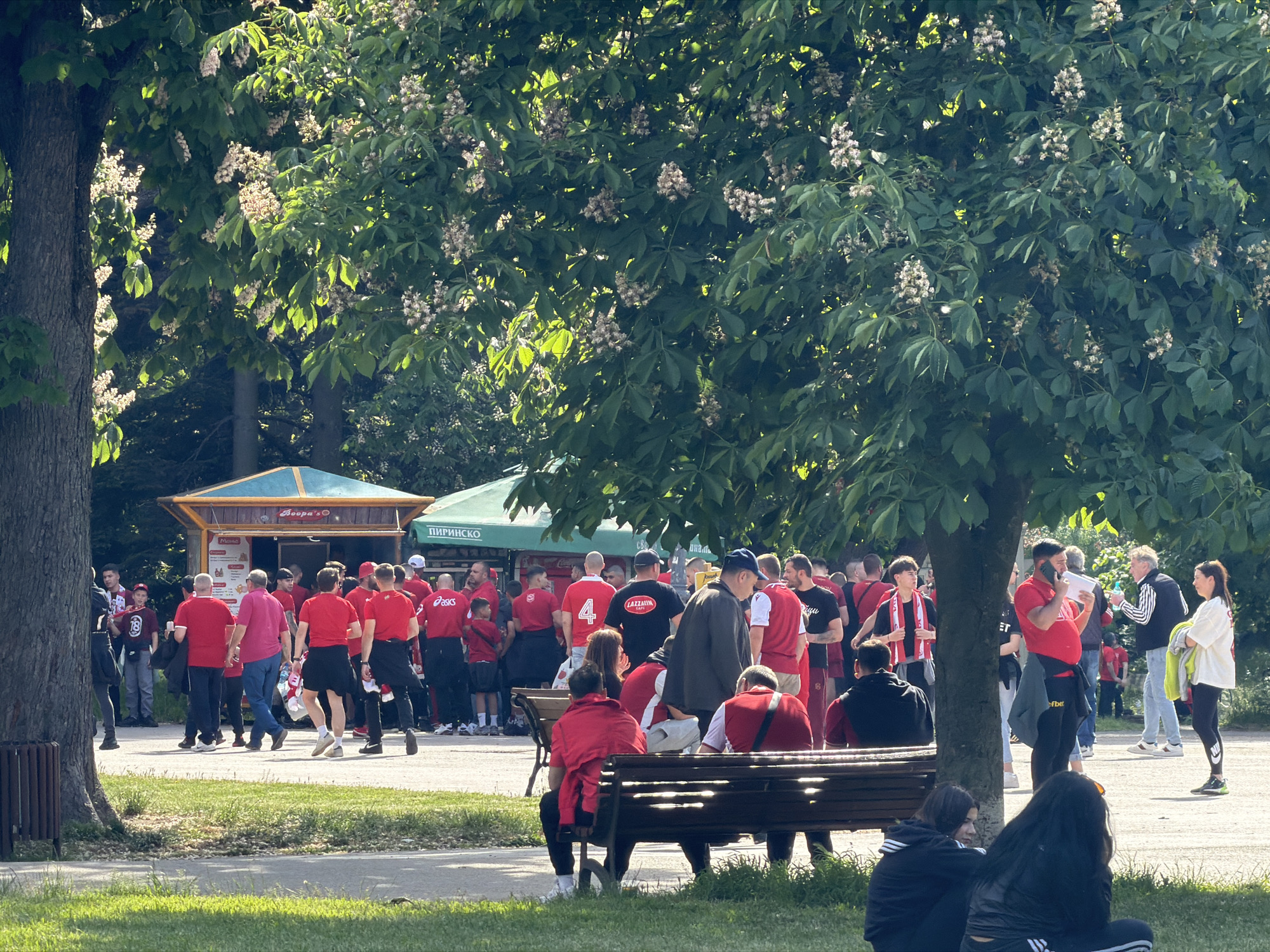 The image depicts a gathering of people in a park, likely located in Sofia, Bulgaria, based on the Cyrillic text on the food stall and green awning. The majority of the crowd is wearing red shirts and/or red and white scarves, suggesting they are fans of a sports team. Some individuals are standing, while others are seated on a park bench. There is a food stall with the name "Boopa's" visible, and another stall with the name "Пиринско" on its green awning. A large tree with white flowers provides shade to the crowd. Some people are talking on their phones. The weather appears sunny.