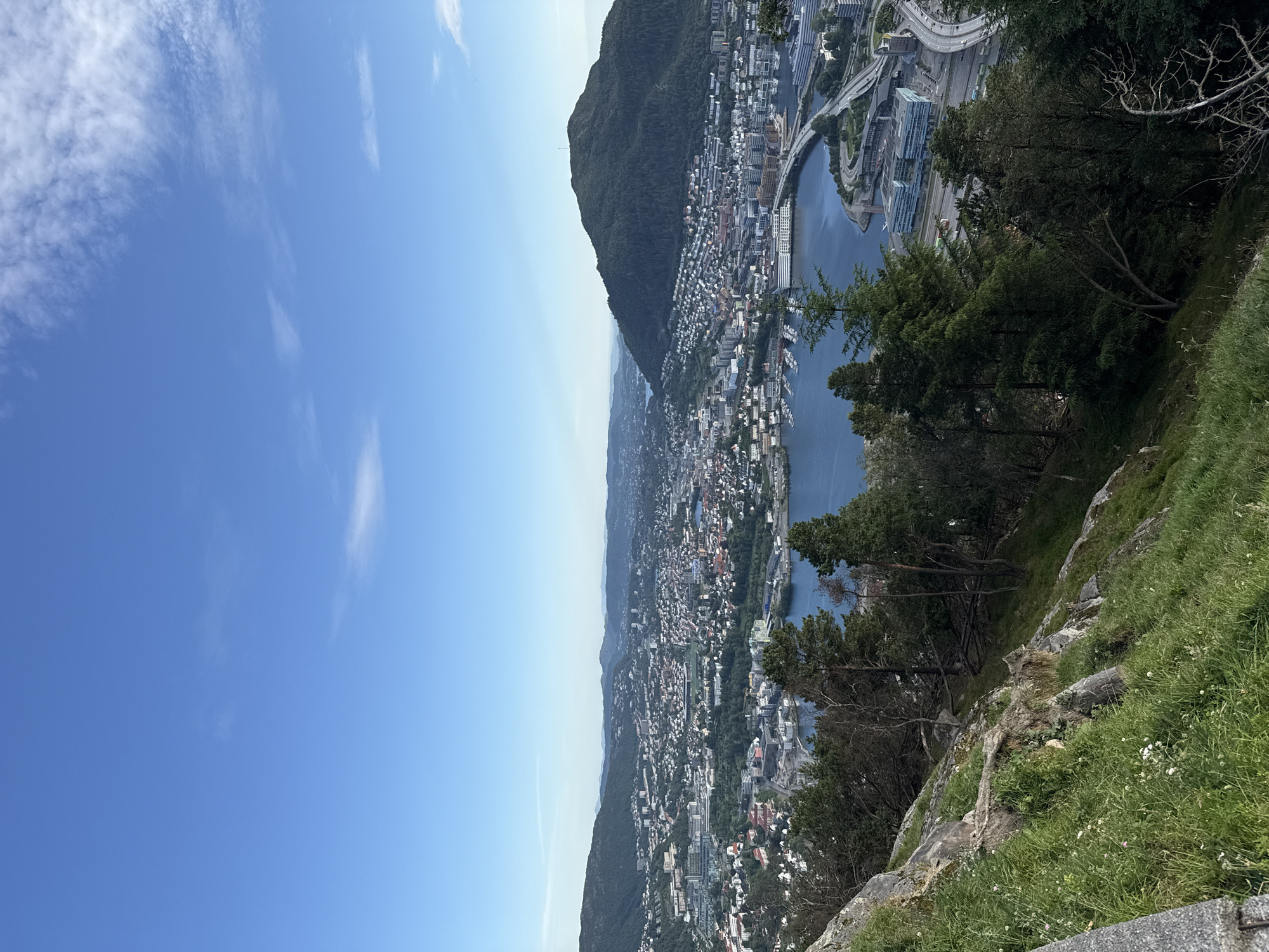 This is a high-angle, panoramic view of the city of Bergen, Norway, taken from a hillside. The foreground features a rocky, grassy slope with scattered trees. The midground shows a body of water, likely a fjord or harbor, with boats docked along its edge. Beyond the water, the city sprawls, characterized by a dense collection of buildings with red-tiled roofs, intermixed with modern structures. A prominent mountain covered in trees dominates the right side of the frame, with a telecommunication tower visible at its summit. Roads, including a highway overpass, are visible weaving through the urban landscape. The sky is clear blue with a few wispy clouds. The scene appears to be captured during daylight hours on a sunny day.