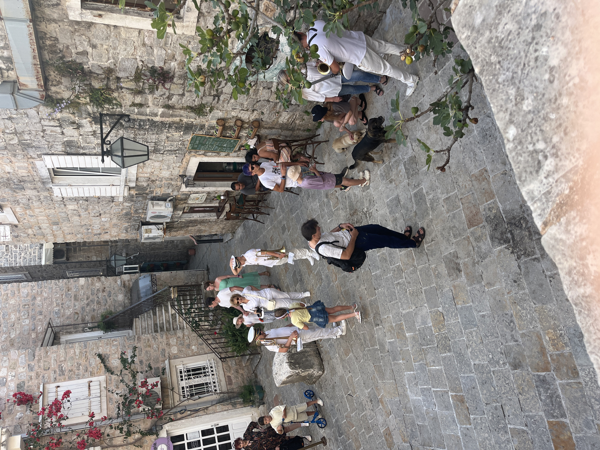 The image shows a street scene in the old town of Budva, Montenegro. The ground is paved with light-colored stone blocks. Several people are present in the scene. Some are walking while others are seated at an outdoor cafe. A group of musicians are performing. Several dogs are near the outdoor cafe. The buildings are constructed of light-colored stone and are several stories high. A street light is visible. The sky is not visible in the image.