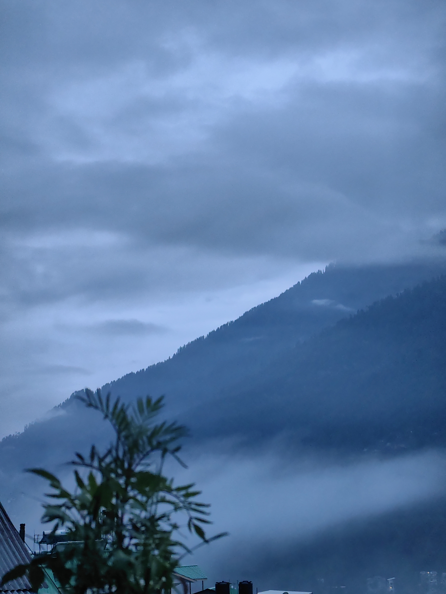 A blurred green plant is in the foreground, obscuring a view of a mountainous landscape. The mountains are covered in a dense forest of pine trees, and fog or clouds are rolling in. The sky is overcast with dark, heavy clouds, suggesting a moody or rainy day. In the lower left corner, parts of a building's roof, a water tank, and possibly solar water heaters are visible, indicating the image was taken from a residential or built-up area. The overall scene is dark and atmospheric, characteristic of a misty mountain environment. The location is Vashisht, India.
