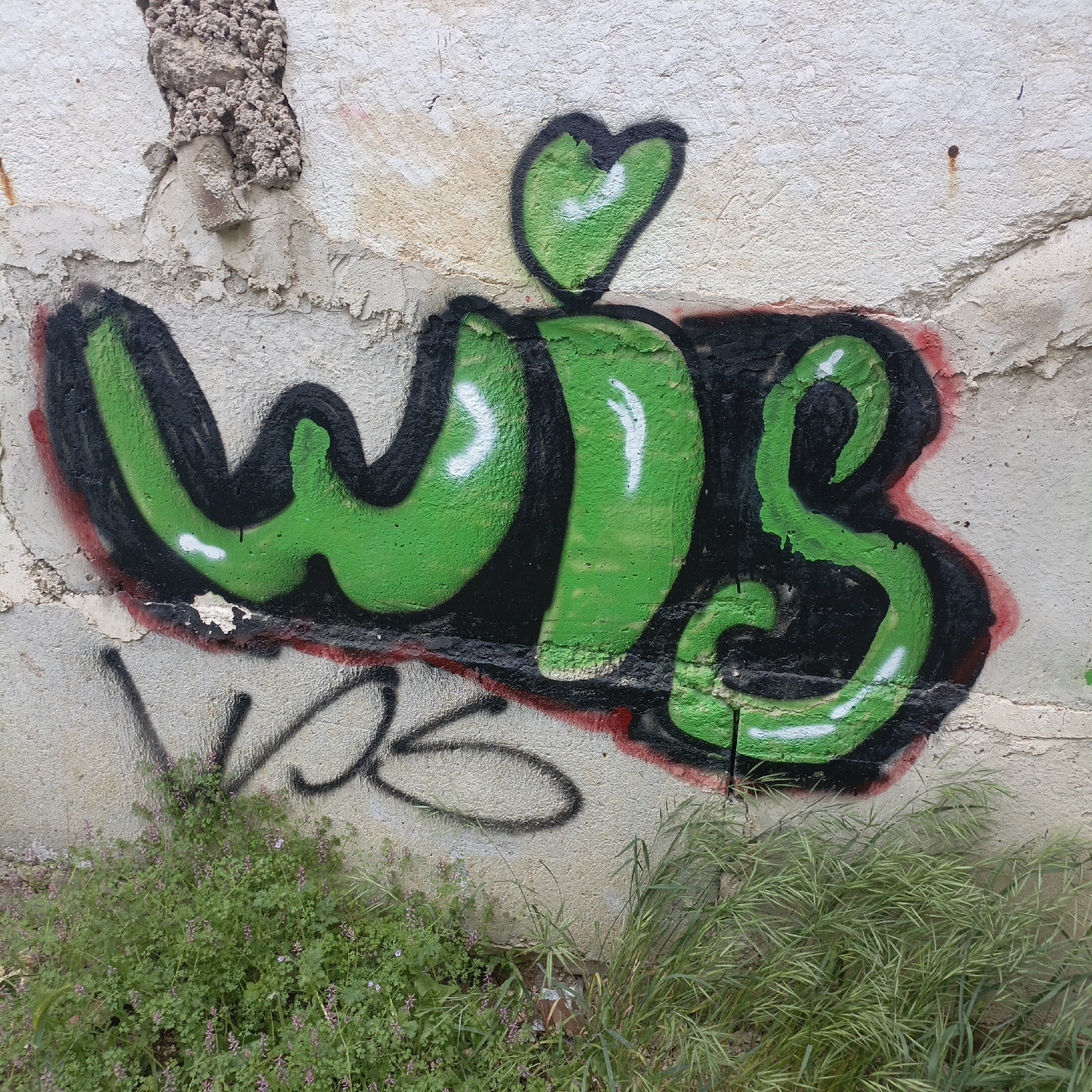 A wall in Sevastopol, Ukraine is defaced with green and black graffiti that reads "WIS" with a heart shape above the "I". The wall is made of concrete or plaster and is cracked in some places. There is vegetation growing at the base of the wall, including small purple flowers and grasses. There is additional graffiti in black below the primary graffiti.