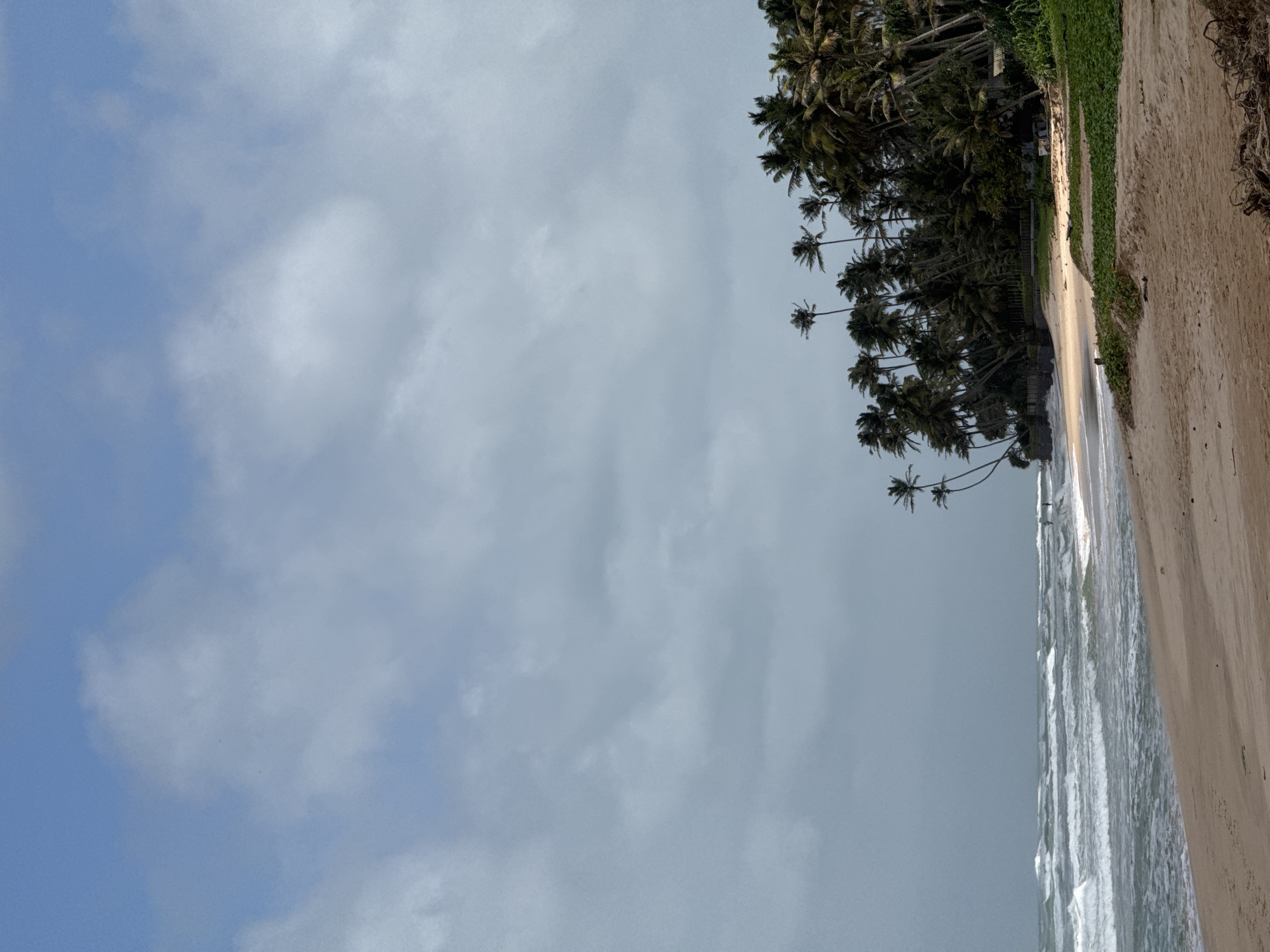 A wide-angle, vertical shot captures a sandy beach in Habaraduwa, Sri Lanka, under a cloudy sky. The ocean on the left displays white-capped waves rolling towards the shore. Two indistinct figures are visible near the water's edge. A dense line of palm trees forms a backdrop along the edge of the beach, with some vegetation growing closer to the sand. The sand itself is light brown, with some dry debris scattered in the foreground. The overall lighting suggests overcast conditions.
