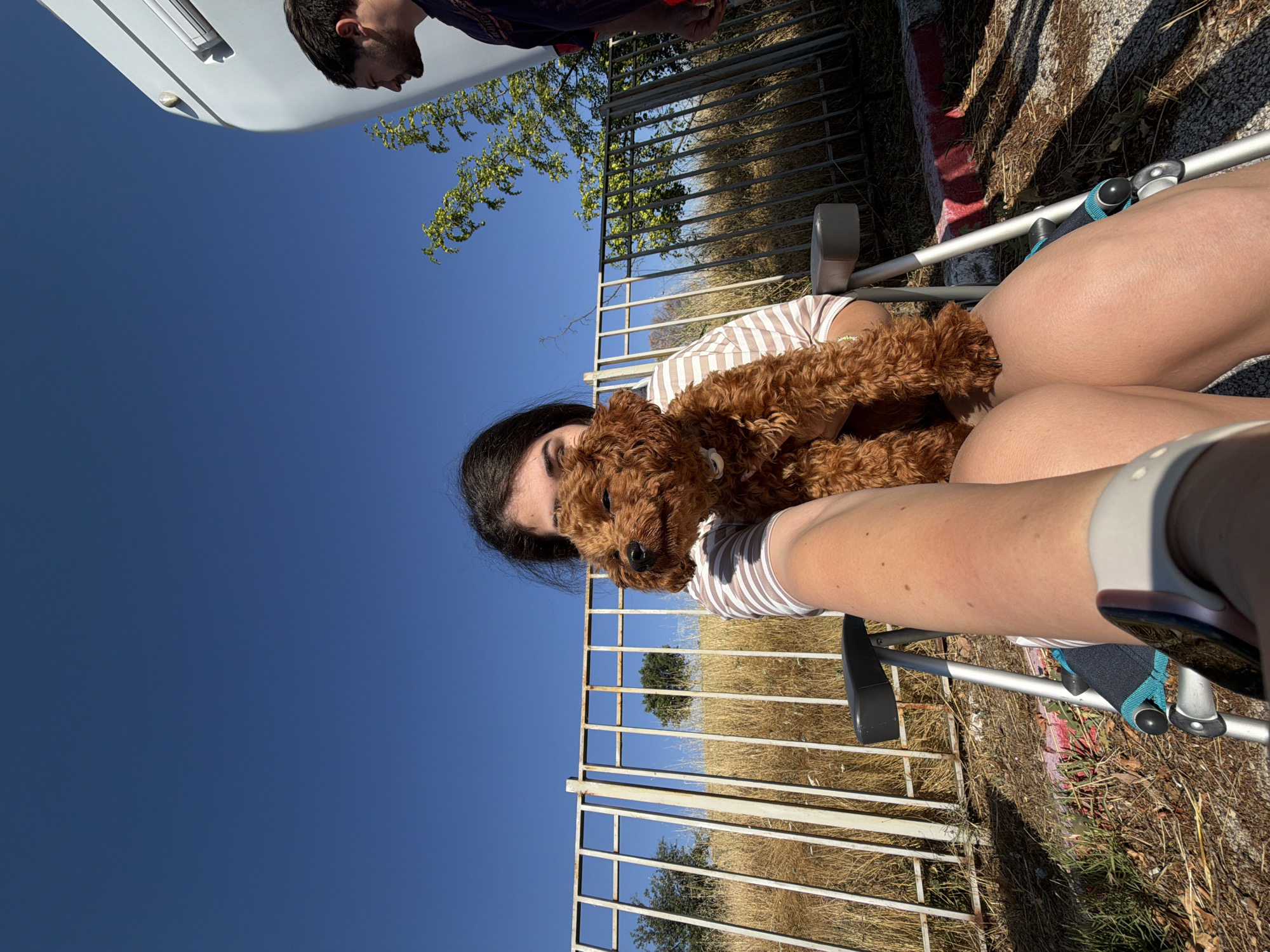 The image shows a young woman holding a small, brown, curly-haired dog while sitting in a portable chair. She is wearing a striped shirt. Her face is partially obscured by the dog. Behind her is a metal fence and dry, tall grass. A man in a dark shirt is visible in the background to the right, standing next to a white recreational vehicle. The scene is outdoors under a clear blue sky. The location is identified as Ribnik, Bulgaria.