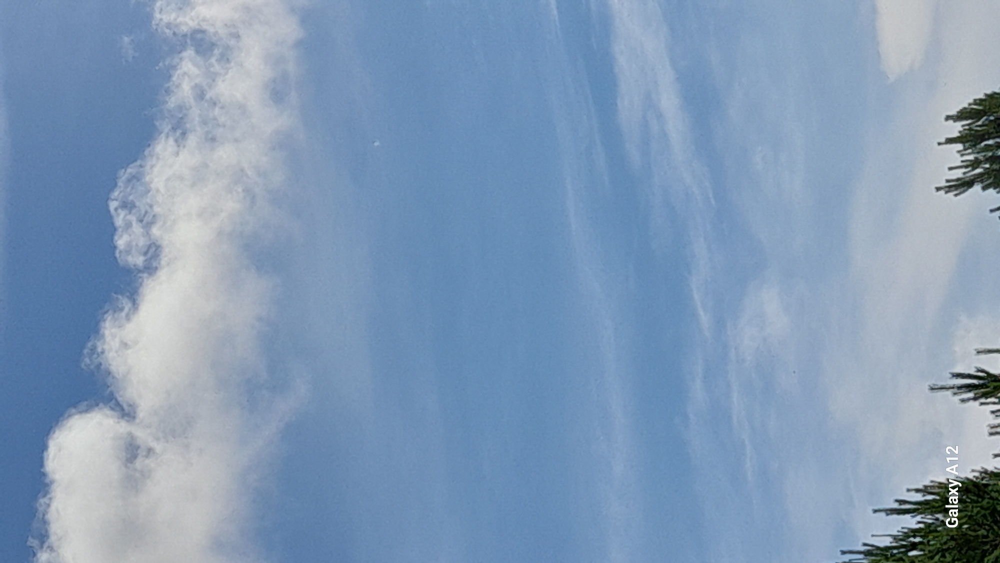 This is a vertical, eye-level, outdoor photograph of a blue sky with scattered clouds. In the upper portion of the image, a large, fluffy white cloud stretches horizontally across the frame. Below this, thin, wispy clouds are visible, adding texture to the sky. A small, crescent-shaped moon is subtly visible in the upper right quadrant of the sky. The bottom edge of the image shows the tops of evergreen trees against the sky. The text "Galaxy A12" is visible in white on the lower left, indicating the device used for the photograph. The scene is set in the city of Марковский, Russia.
