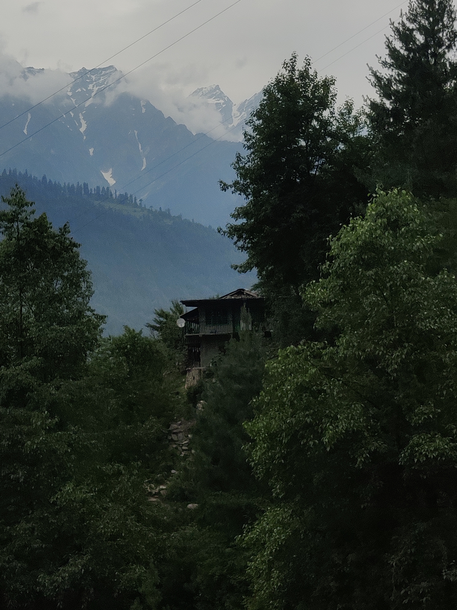 This image depicts a scenic view of the mountains and vegetation surrounding Vashisht, India. In the foreground, lush green trees dominate, with some branches obscuring parts of the scene. Partially visible amidst the foliage is a dark-colored, multi-story building, possibly a guesthouse or residence, constructed from stone and wood. The building has multiple balconies and a satellite dish mounted on its side. In the background, majestic mountains rise, their peaks capped with snow and partially shrouded in mist. The sky is overcast, contributing to the diffused lighting of the scene. Power lines are visible crisscrossing the sky. The overall impression is one of a serene, natural environment with a touch of human habitation integrated into the landscape.