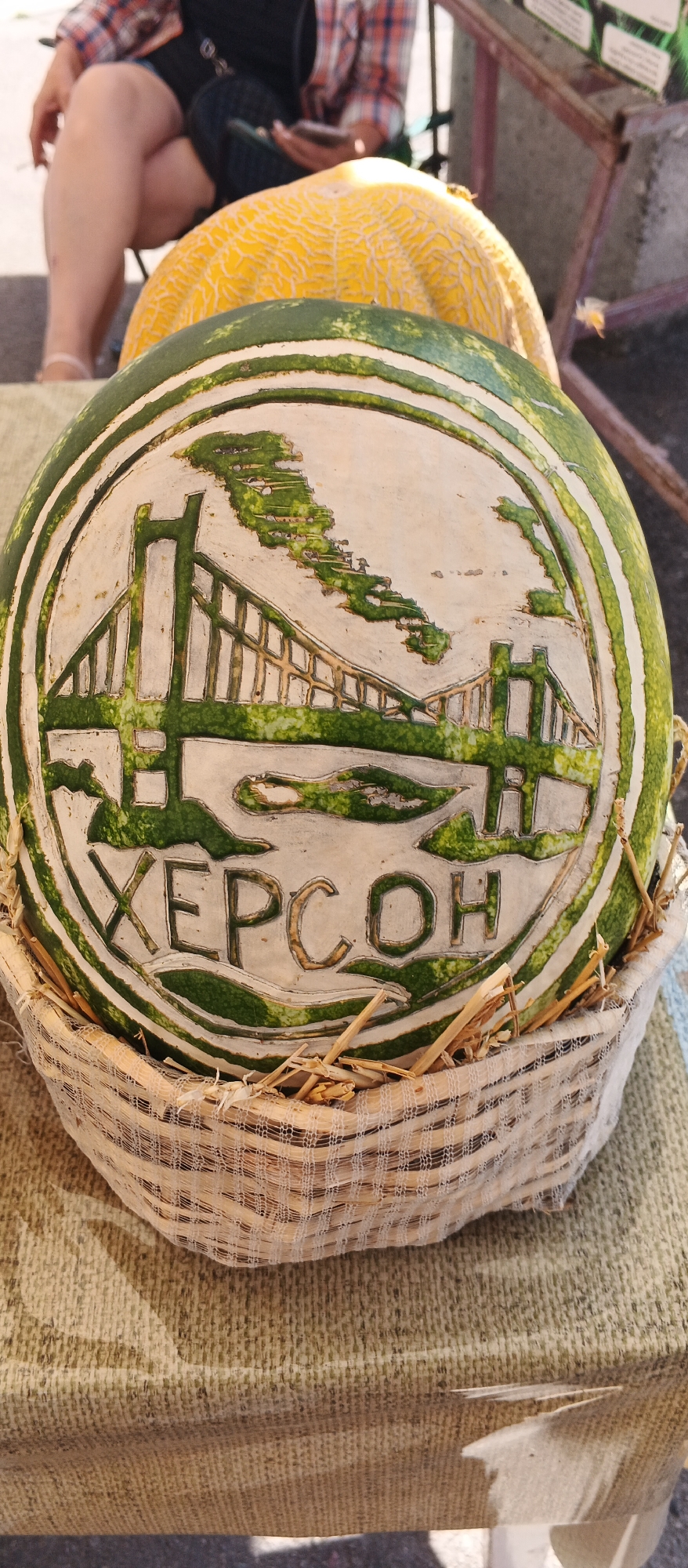 A close-up, eye-level outdoor shot focuses on a watermelon carved with an image of a bridge and the word "ХЕРСОН" (Kherson). The carving is intricate, with the green rind serving as a backdrop for the lighter-colored inner flesh of the fruit. The carved bridge spans a body of water, with stylized trees on either side. The text is prominently displayed below the bridge carving. The watermelon is presented in a woven basket lined with straw and a light-colored net-like fabric. In the background, partially visible, a person in a plaid shirt sits with their legs crossed, holding a phone. The setting appears to be a market or outdoor stall, indicated by the textured fabric tablecloth and a hint of a wooden structure. The overall scene conveys a sense of local artistry and produce display.