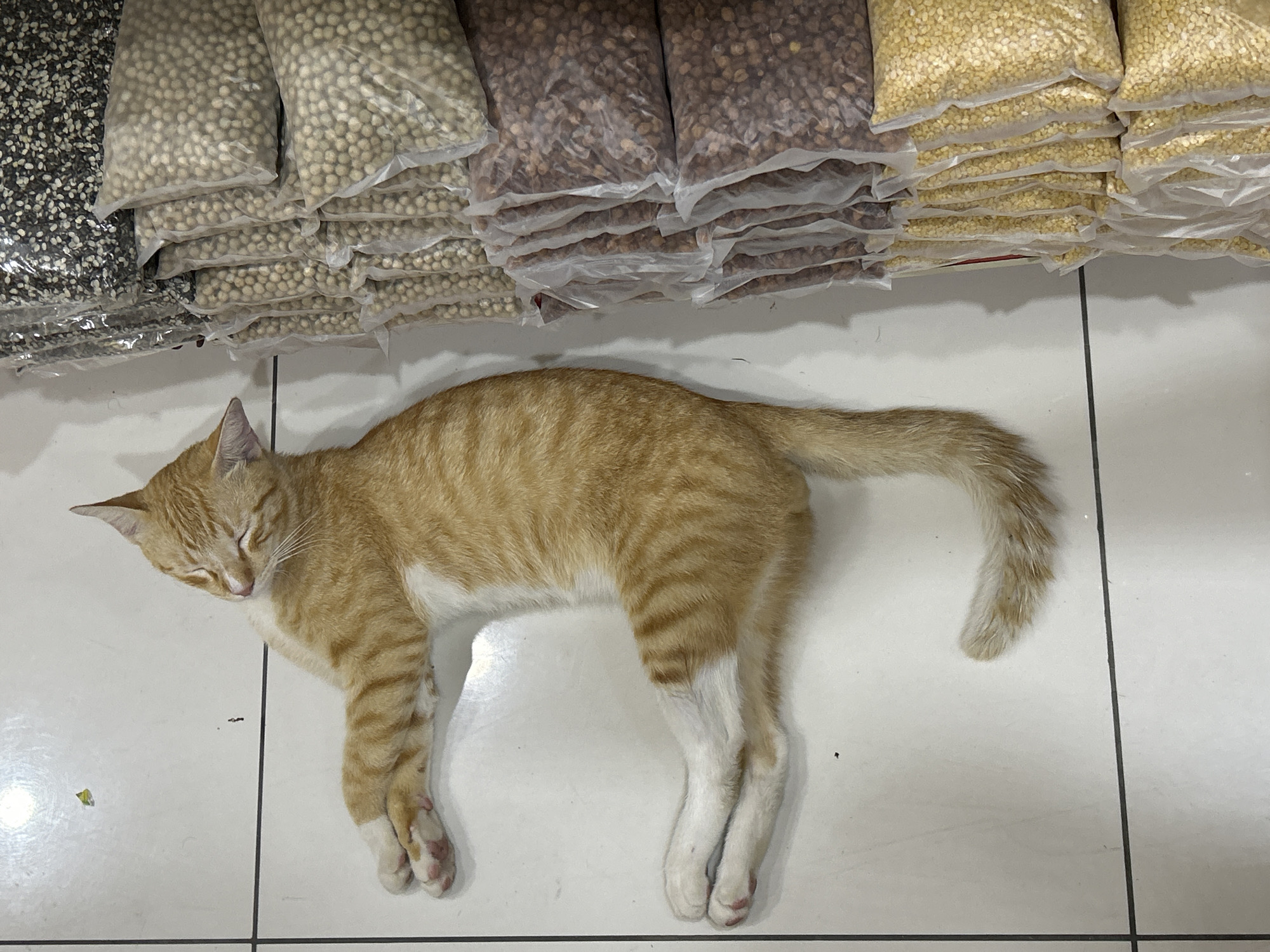 A ginger tabby cat with white paws sleeps on a white tiled floor. Behind the cat are multiple stacked, clear plastic bags filled with various dried goods, including dark seeds, light-colored peas, brown beans, and yellow split peas. The location is likely a shop or storage area. It is not possible to confirm the location of Kuala Lumpur, Malaysia from this image alone.