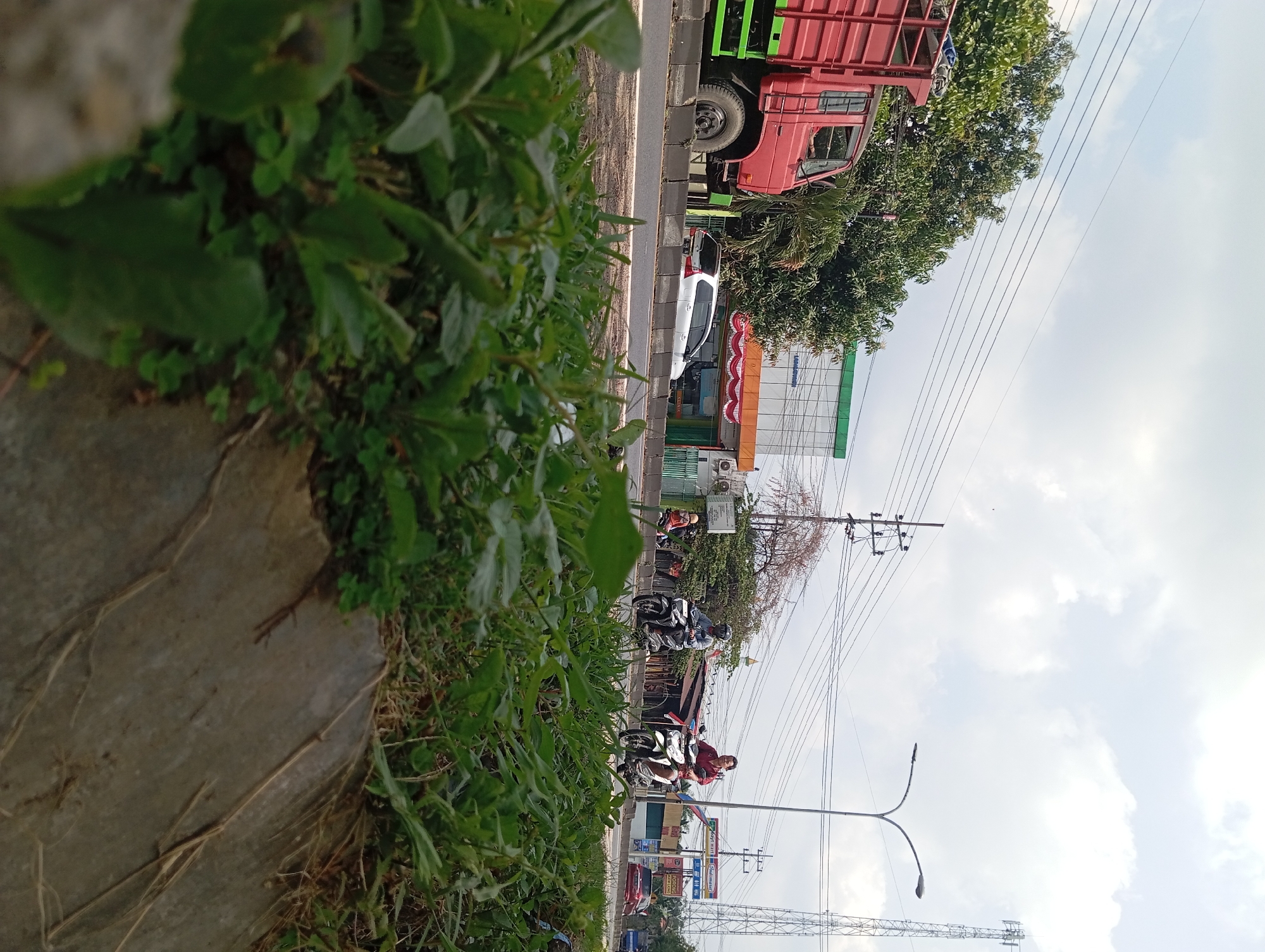 This is a ground-level, eye-level, outdoor, daytime, eye-level, medium shot of a street scene in Lemahbang, Indonesia, with a focus on the foreground flora and the background street traffic. In the foreground, lush green foliage and grass sprout from a concrete embankment, partially obscuring the view of the street. The concrete structure appears weathered and cracked, with dry grass and twigs scattered across its surface. In the middle ground, the paved road is visible, marked by a concrete barrier separating it from the embankment. Traffic on the road includes a large red truck with a green stripe on the left, a white car, and two motorcycles. The first motorcycle, on the left side of the road, carries a rider wearing a helmet. The second motorcycle, slightly to the right, has two riders, both men, one wearing a red shirt and the other a light-colored shirt and helmet. In the background, buildings line the street, including a structure with an orange and white awning and a green facade, possibly a commercial establishment. A tall communication tower stands to the right, piercing the bright, partly cloudy sky. Electrical wires are strung across the frame, supported by utility poles. The overall scene depicts a typical day on a busy road in a semi-urban environment.