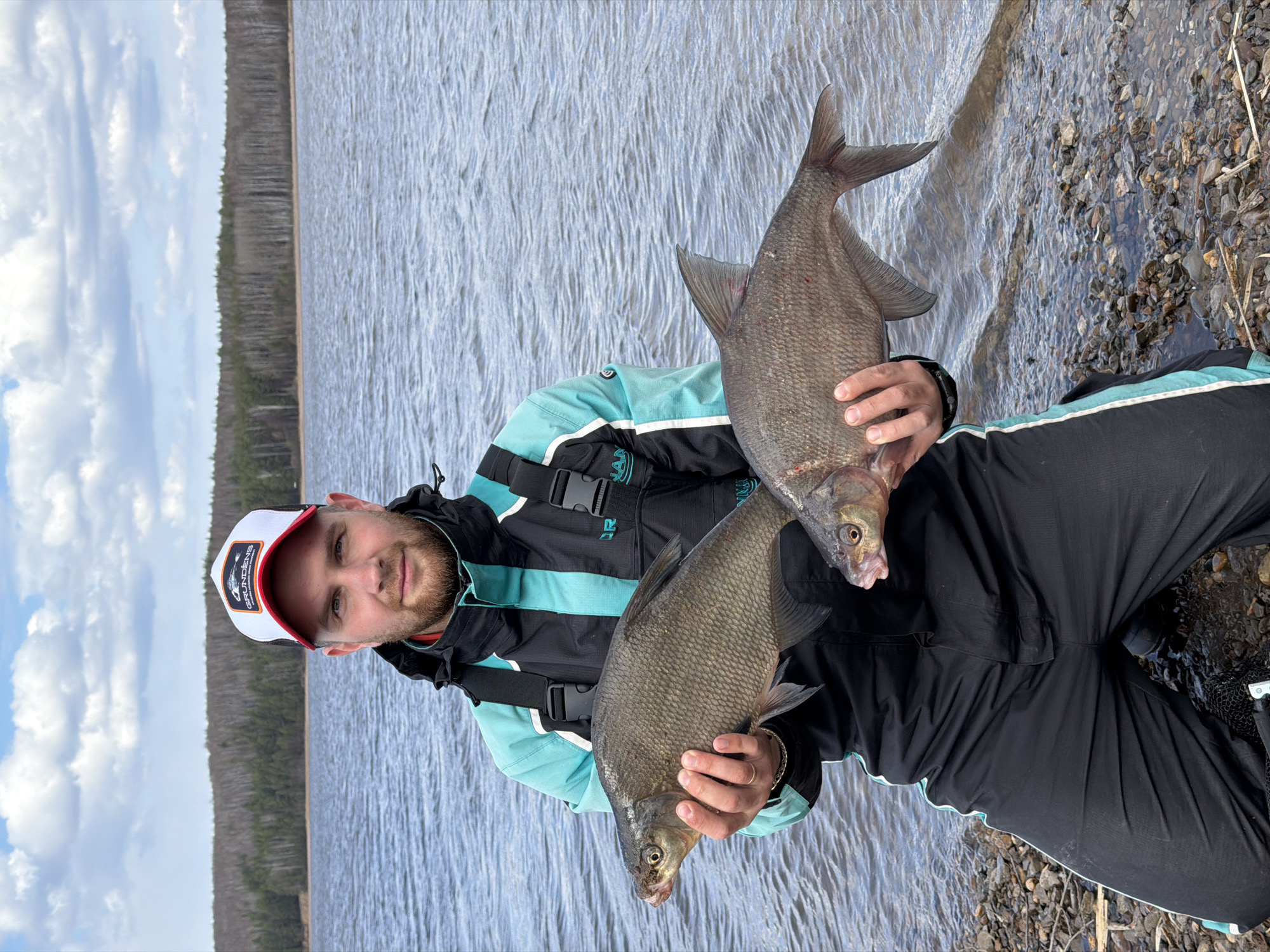 A man kneels by the rocky shore of a large body of water, proudly displaying two freshly caught fish. He is positioned centrally, looking directly at the viewer with a slight smile, suggesting satisfaction. He has a beard and is wearing a two-toned fishing jacket in black and teal/light blue, black pants, and a white and red baseball cap. The cap clearly displays the brand name "GRUNDENS".
In his hands, he holds two large, greyish-brown fish, likely bream, one higher and one lower. The fish appear wet and healthy, indicating a recent catch.
The setting is outdoors during the daytime under a bright, cloudy sky with white and grey clouds. A vast expanse of rippling water, possibly a lake or wide river, stretches behind the man. On the distant opposite shore, a dense line of evergreen trees forms a dark forest edge. The immediate foreground shows a shallow water's edge with numerous rocks and gravel, characteristic of a natural shoreline. The scene captures a successful fishing trip in Chaikovsky, Russia.