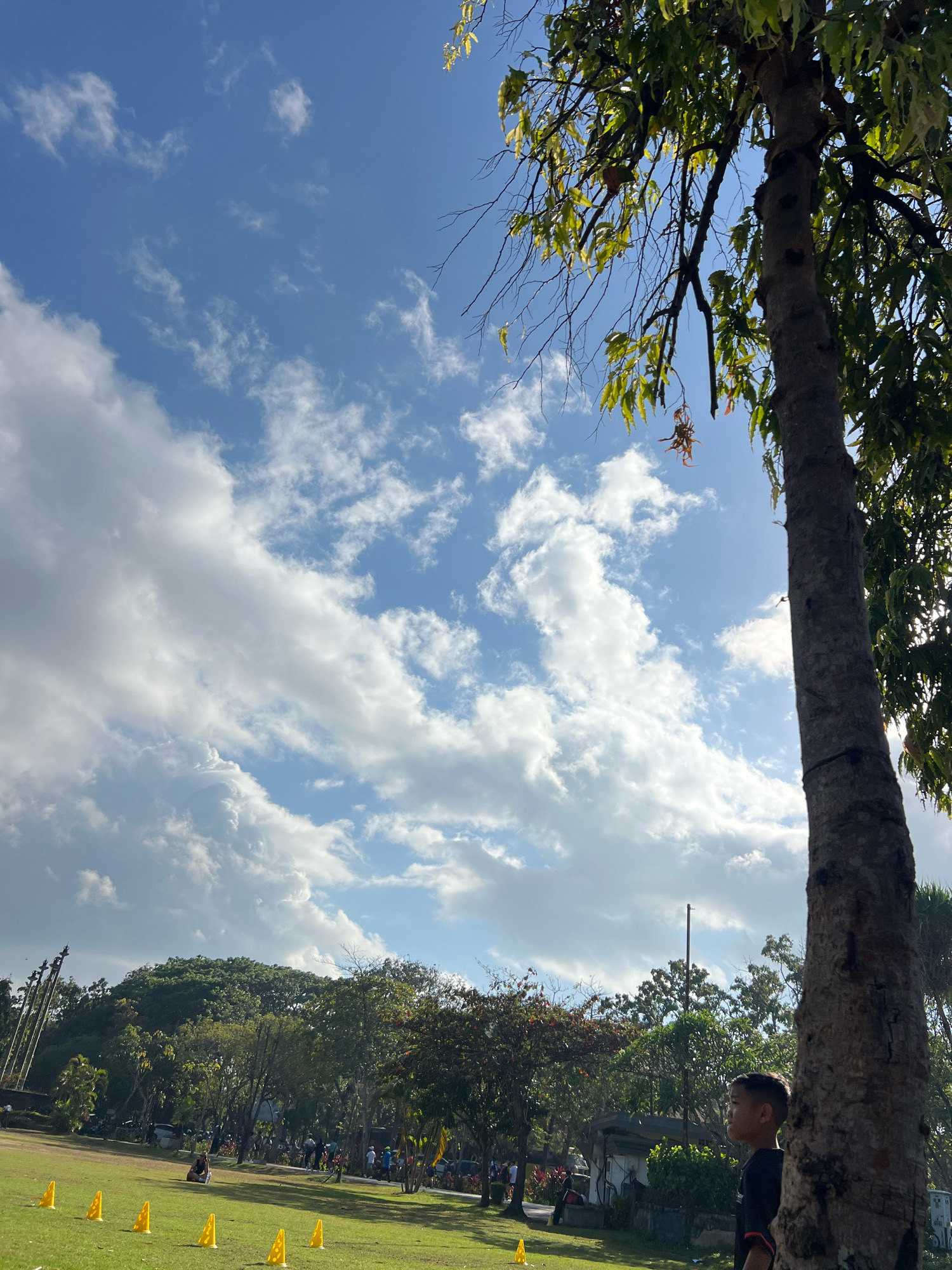 This is a photograph of a park area in Denpasar, Indonesia, on a sunny day with a partly cloudy sky. In the foreground, a large tree trunk stands to the right of the frame, its bark rough and textured. Green leaves are visible at the top right, partially obscuring the bright blue sky dotted with white, wispy clouds. The ground is covered in green grass, with several yellow cone markers arranged in a line towards the left side of the image. Further back, a young boy in a black t-shirt is visible near the tree trunk, looking to his left. Beyond the immediate grassy area, there is a line of trees and foliage, with some buildings and structures interspersed. A group of people and bicycles are visible in the mid-ground, suggesting an outdoor event or gathering is taking place. In the far left, several tall, thin poles are erected. The overall impression is of a lively park setting in a tropical environment.