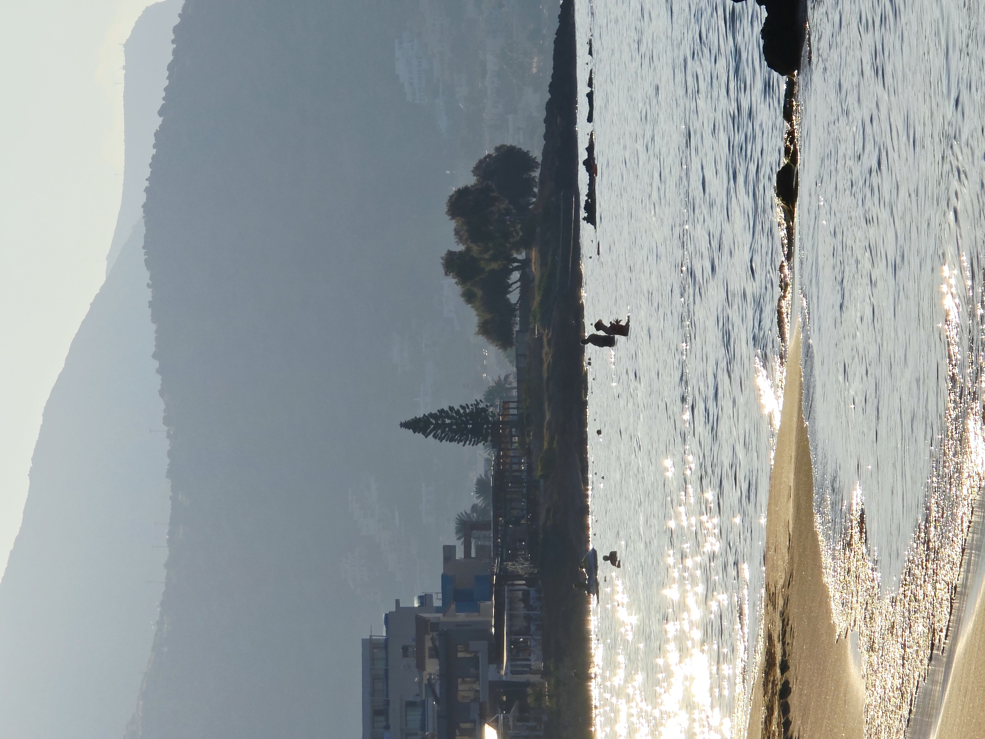 The image depicts a coastal scene in Malia Municipal Unit, Greece, likely during a sunny day. In the foreground, a sandy beach meets the gentle waves of the sea, with sunlight glinting off the water's surface. Several people are visible in the water, some appearing to be swimming or wading.

Further back, along the shoreline, there is a low-lying building complex, possibly hotels or apartments, with multiple stories. Adjacent to the buildings, a line of trees and vegetation adds to the coastal ambiance. A tall, conical evergreen tree stands prominently near the buildings.

In the background, a series of hills or mountains rise, their slopes covered in vegetation and appearing somewhat hazy due to the distance or atmospheric conditions. The sky is a pale, light color, suggesting either early morning or late afternoon light. The overall atmosphere is serene and typical of a Mediterranean beach resort.