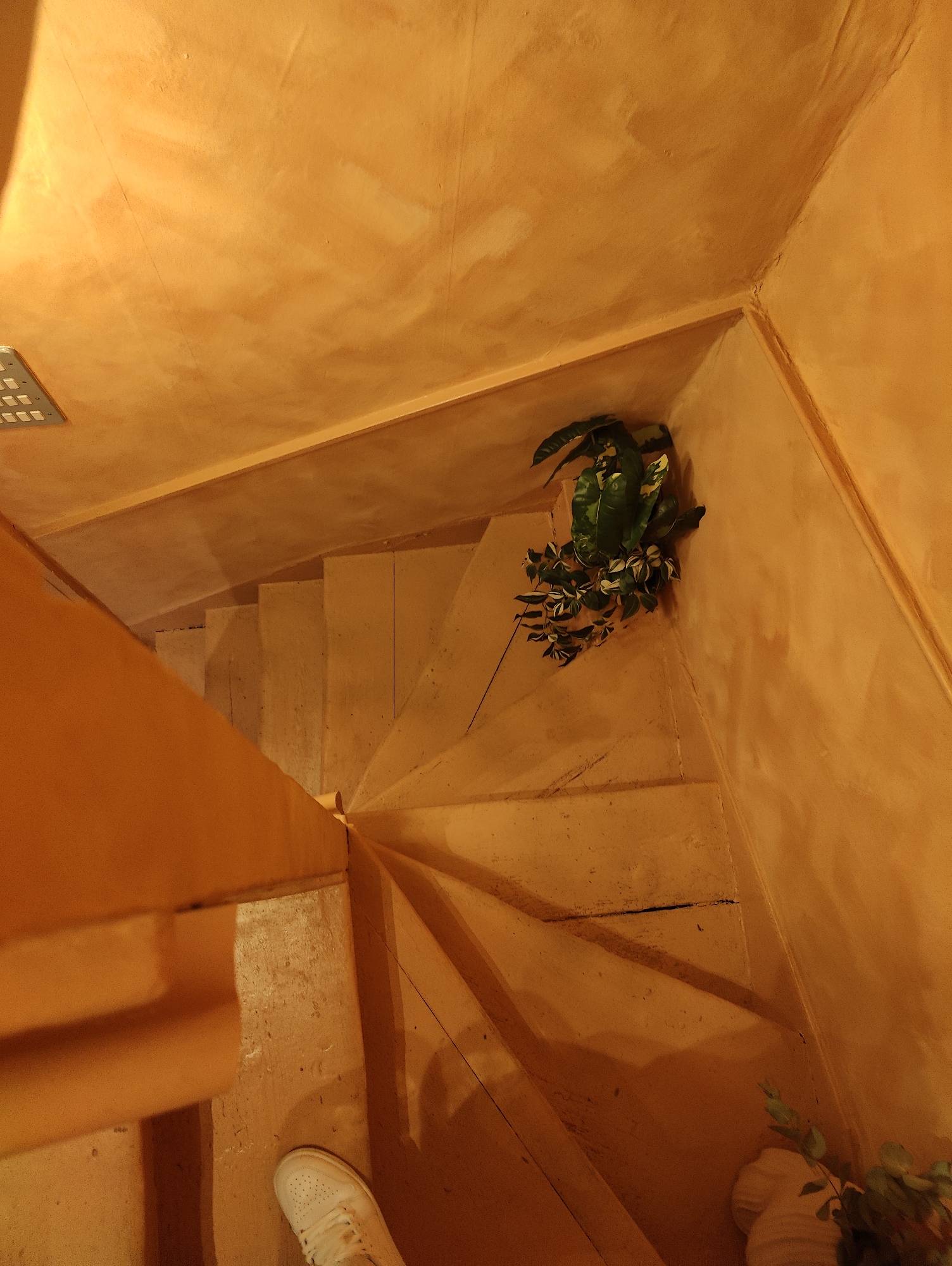 A high-angle shot reveals a narrow, winding staircase, predominantly painted in shades of orange. The walls exhibit a textured, possibly Venetian plaster finish. A square light fixture is visible on the ceiling. Green foliage, presumably from potted plants, is situated at the corners of the staircase. A foot clad in a white sneaker is visible on one of the lower steps.
This image does not provide enough information to determine the location in the city of Ipswich, United Kingdom.