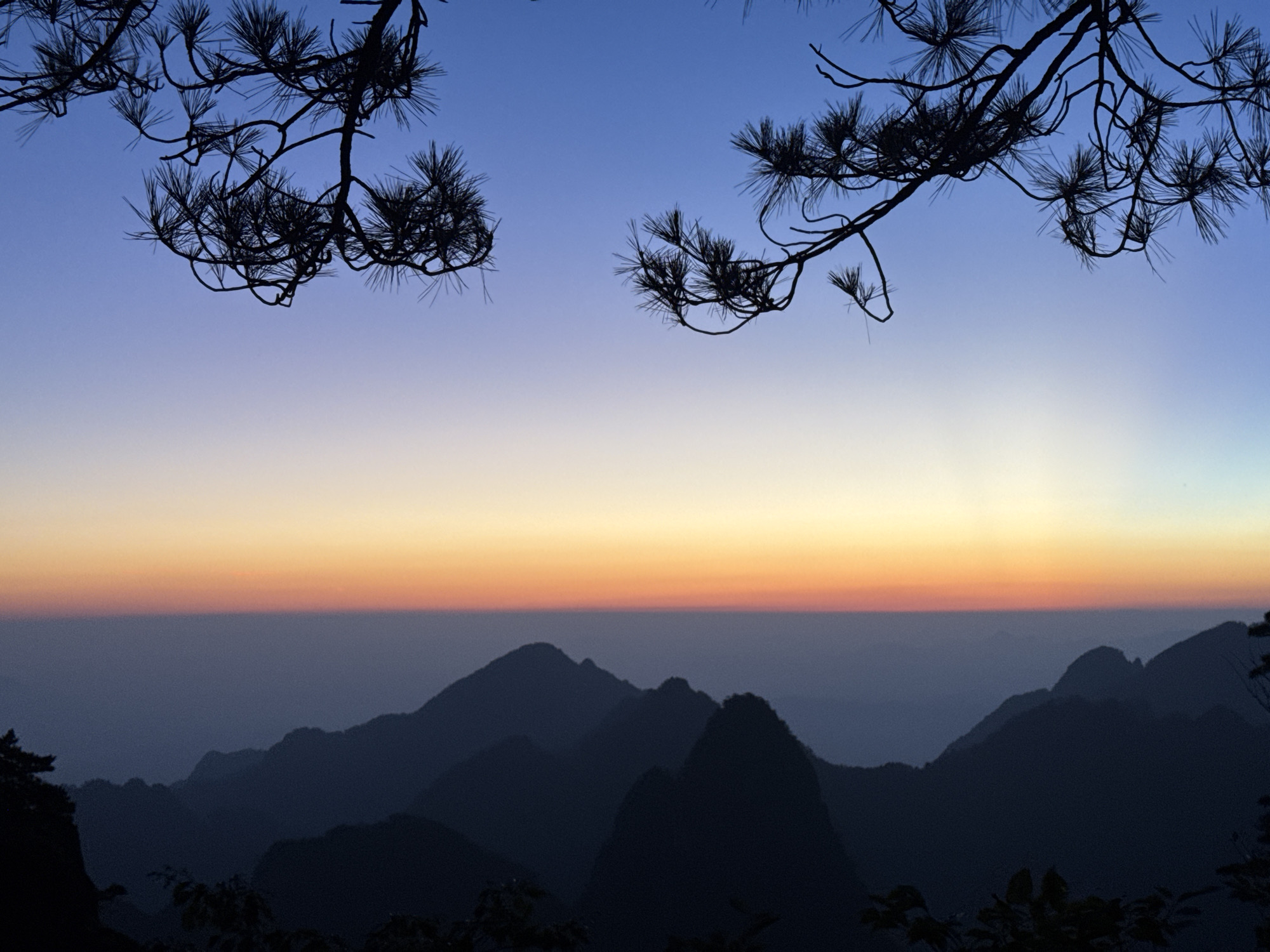 A twilight scene unfolds over a mountain range in Huangshan District, China, as depicted from a high vantage point. The sky transitions from a deep blue overhead to shades of orange and yellow near the horizon. Silhouetted pine branches frame the upper portion of the image. Below the sky, layers of dark, mist-covered mountains recede into the distance. The foreground is dominated by the dark silhouettes of trees and foliage.
