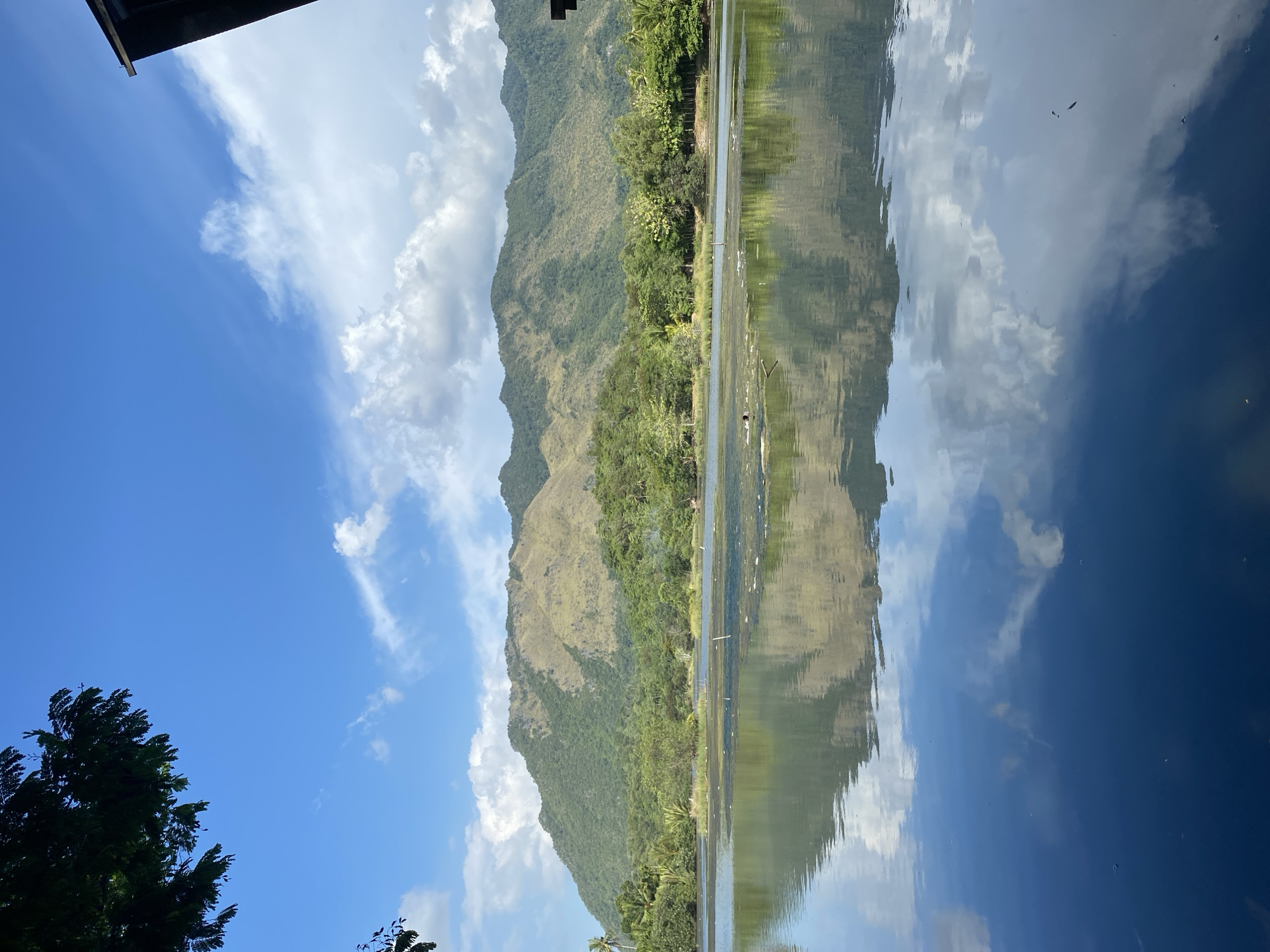 This is a vertical, wide-angle shot of a serene landscape featuring a body of water in the foreground, reflecting a lush green mountain range under a bright blue sky dotted with white clouds. In the upper left corner, the dark green leaves of a tree branch extend into the frame, casting a shadow on the sky. The water's surface is calm, mirroring the sky and the distant mountains with remarkable clarity. Scattered across the water are small, dark specks, possibly debris or aquatic life, and some white markers that appear to be part of a structure or system within the water. The shoreline is lined with dense green foliage and trees, leading up to the textured slopes of the mountain. The mountain itself is covered in a mix of green vegetation and lighter, dry patches, creating a rugged appearance. The overall impression is one of natural beauty and tranquility, with the vibrant blue of the sky and the deep greens of the landscape dominating the scene. The image appears to have been taken in Aneuk Paya, Indonesia, judging by the lush tropical vegetation and the distinctive mountain topography, indicative of regions in Southeast Asia.