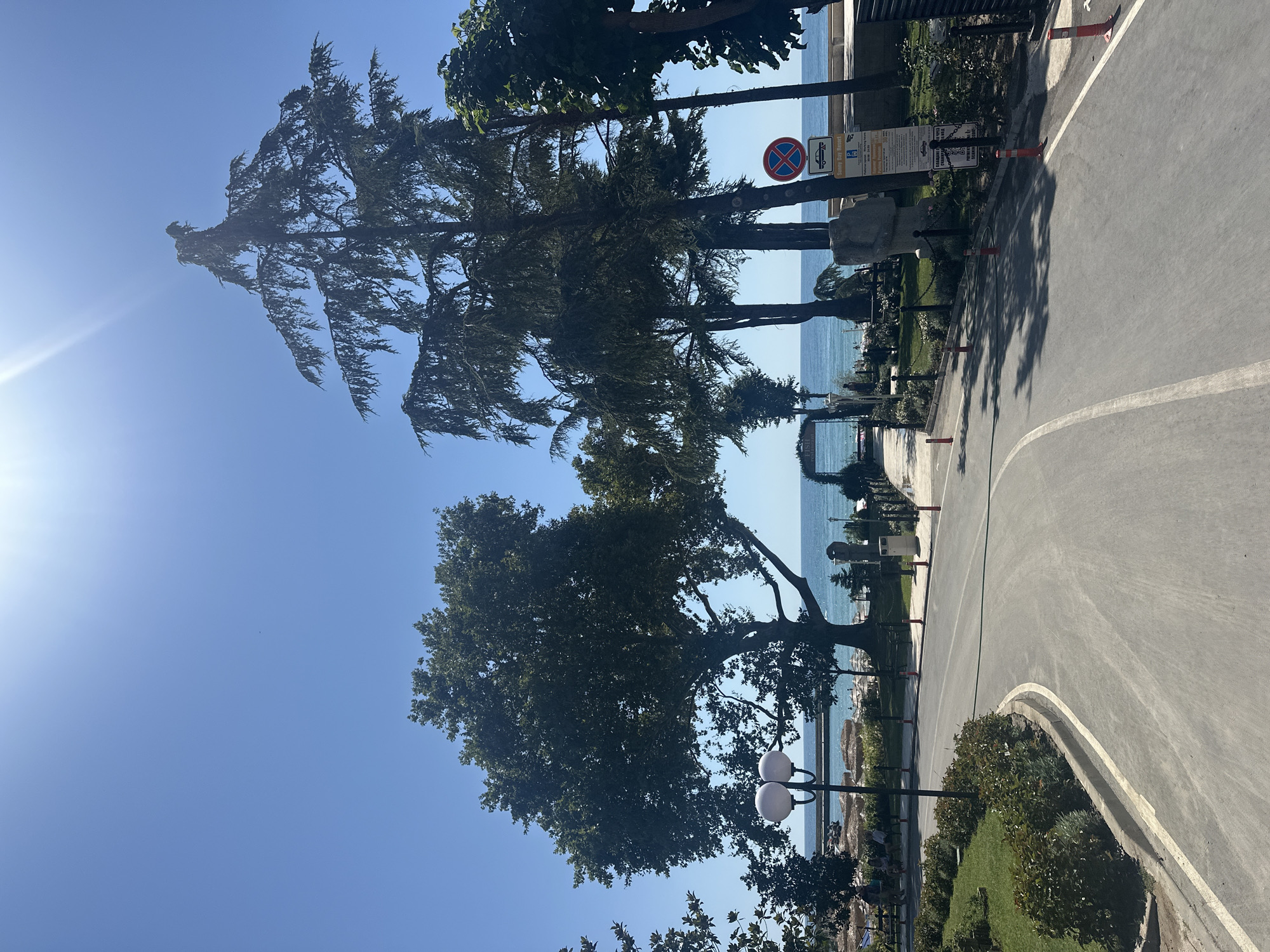 A sunny day reveals a curved asphalt road leading towards a beach. The road is bordered by manicured green grass and dark green shrubs. A double-headed lamppost stands to the left of the road, near a large leafy tree. Beyond the trees, a clear blue ocean stretches out under a bright blue sky. Beach umbrellas are visible on the sandy shore, and people can be seen relaxing or walking. Several tall trees, including pine trees, are scattered throughout the scene, with their branches casting shadows on the road. Traffic signs are posted on the right side of the road, indicating parking regulations. The overall scene depicts a picturesque coastal resort environment.
