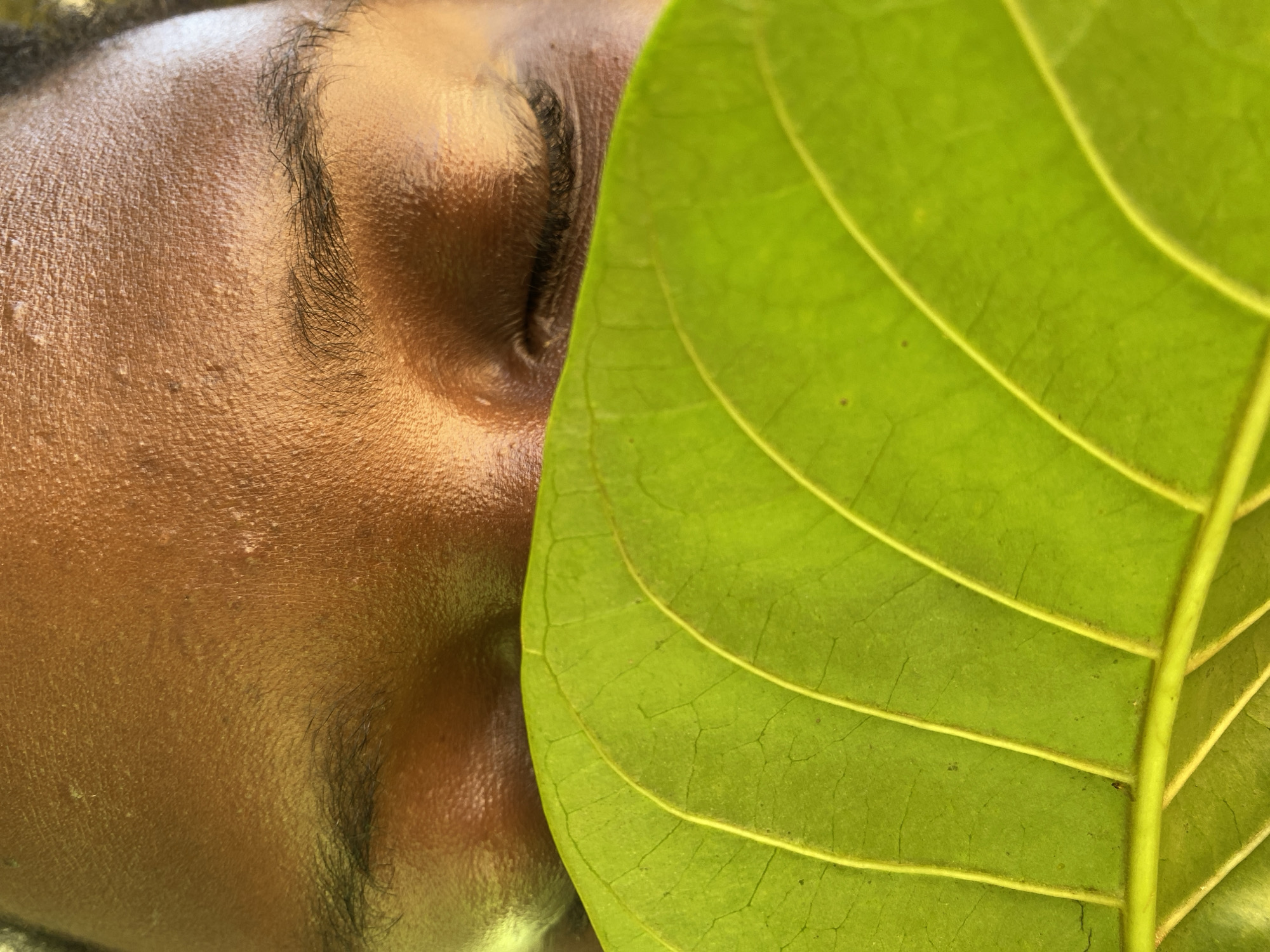 A close-up image shows the side of a person's face juxtaposed with a large green leaf. The person's skin is dark and appears shiny. Their eye is closed, and eyebrow is visible. The leaf occupies the right side of the frame, with its veins prominent and running parallel to each other. The background is out of focus. There is no evidence to indicate the location is Riyom, Nigeria.